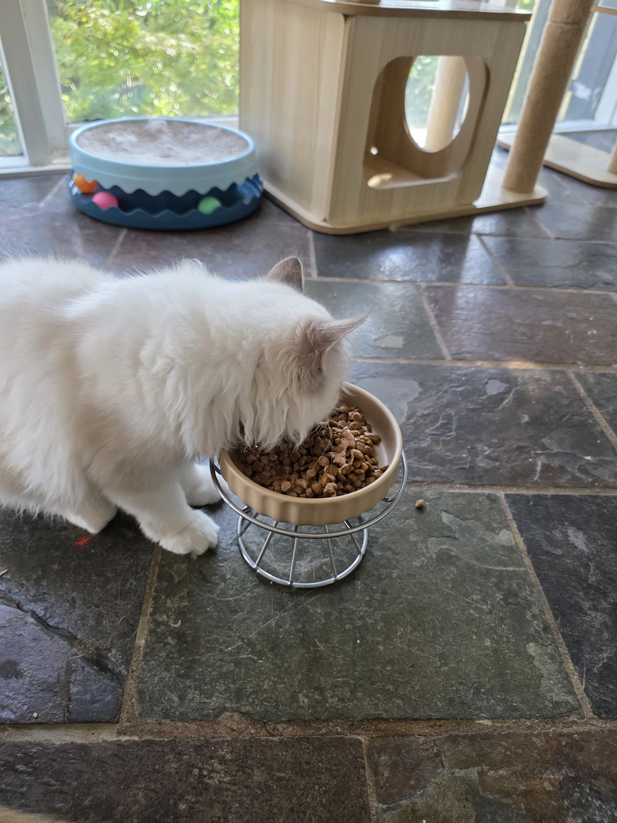 image-16