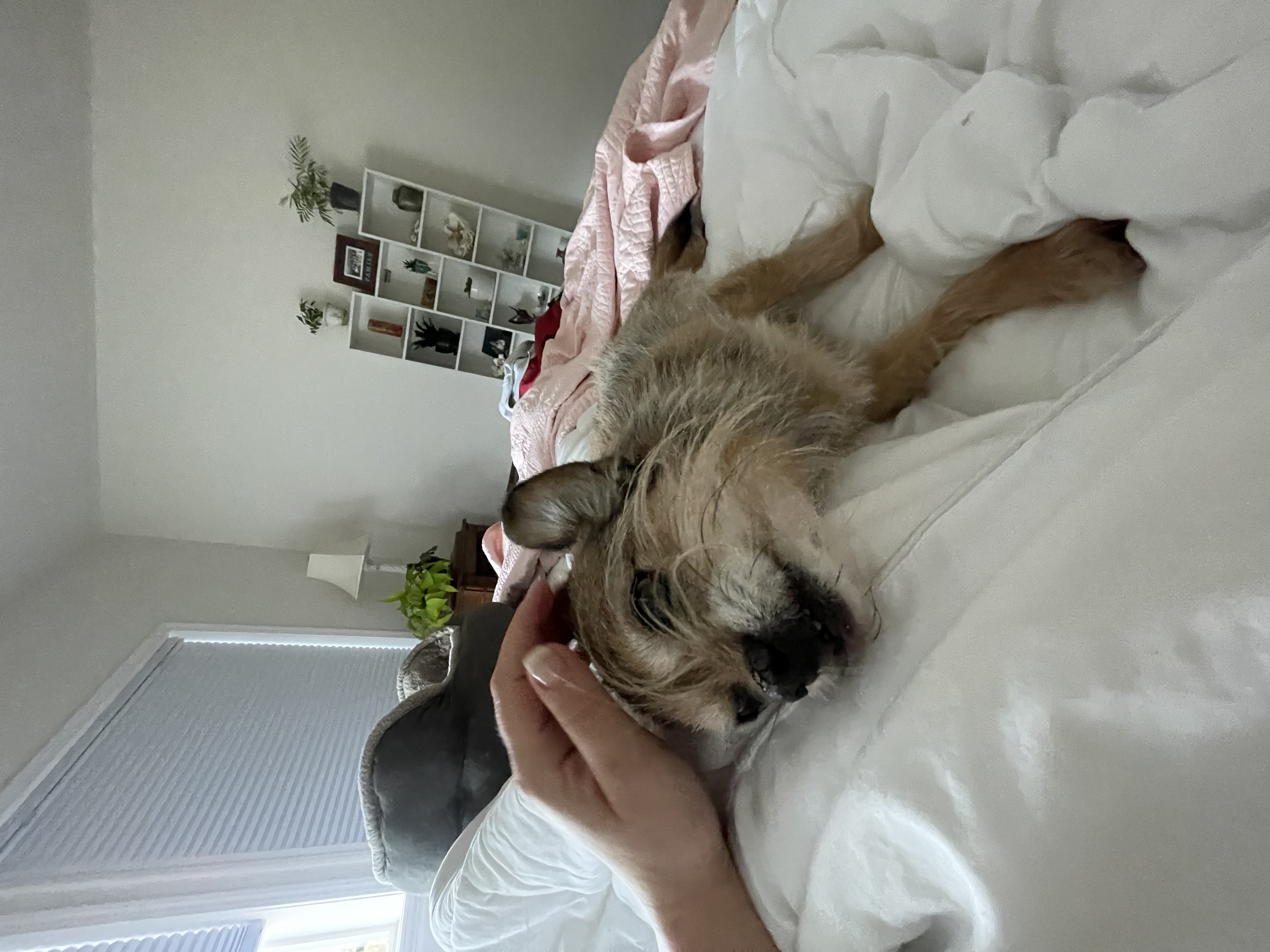 image-3