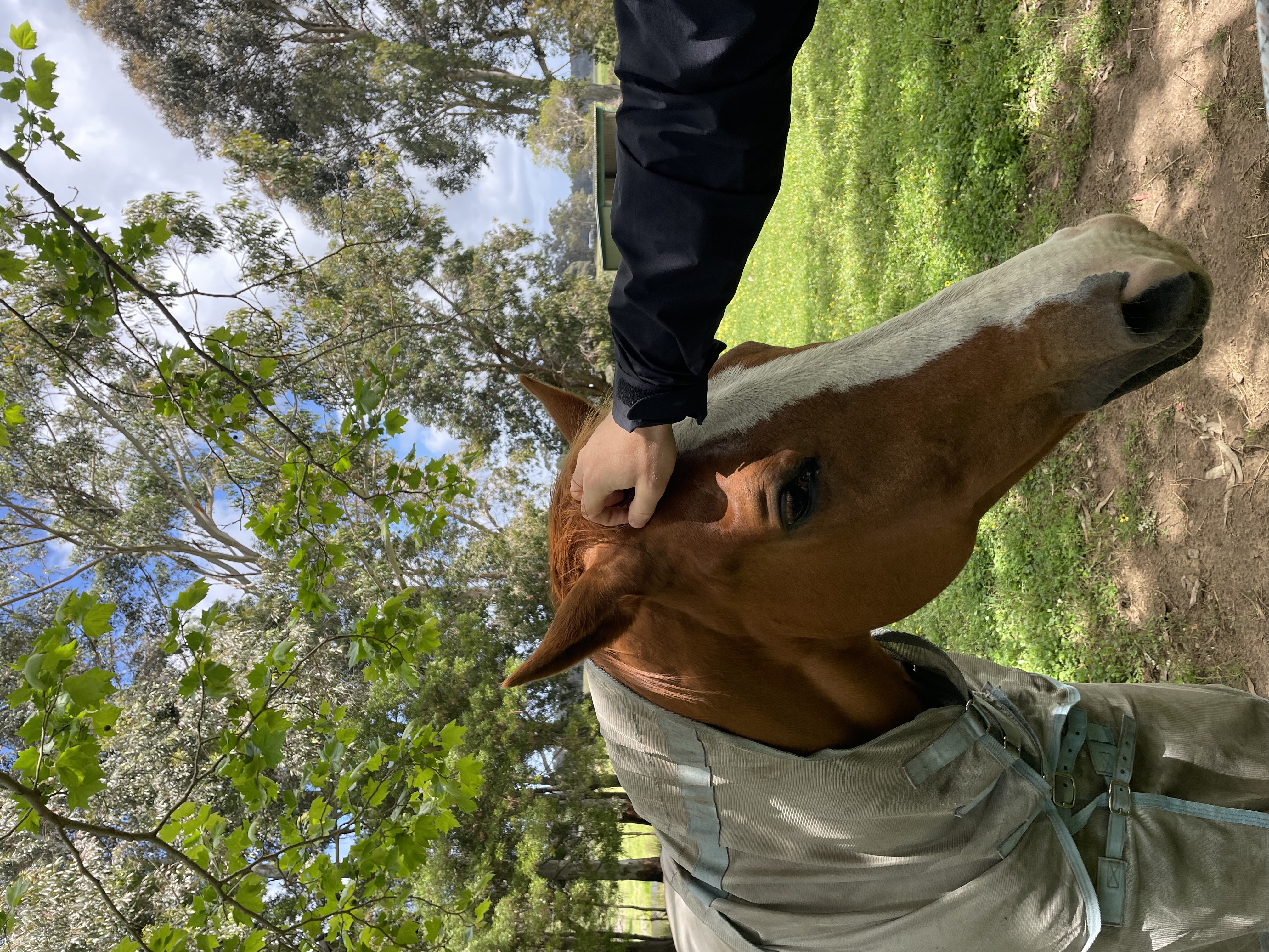 image-10