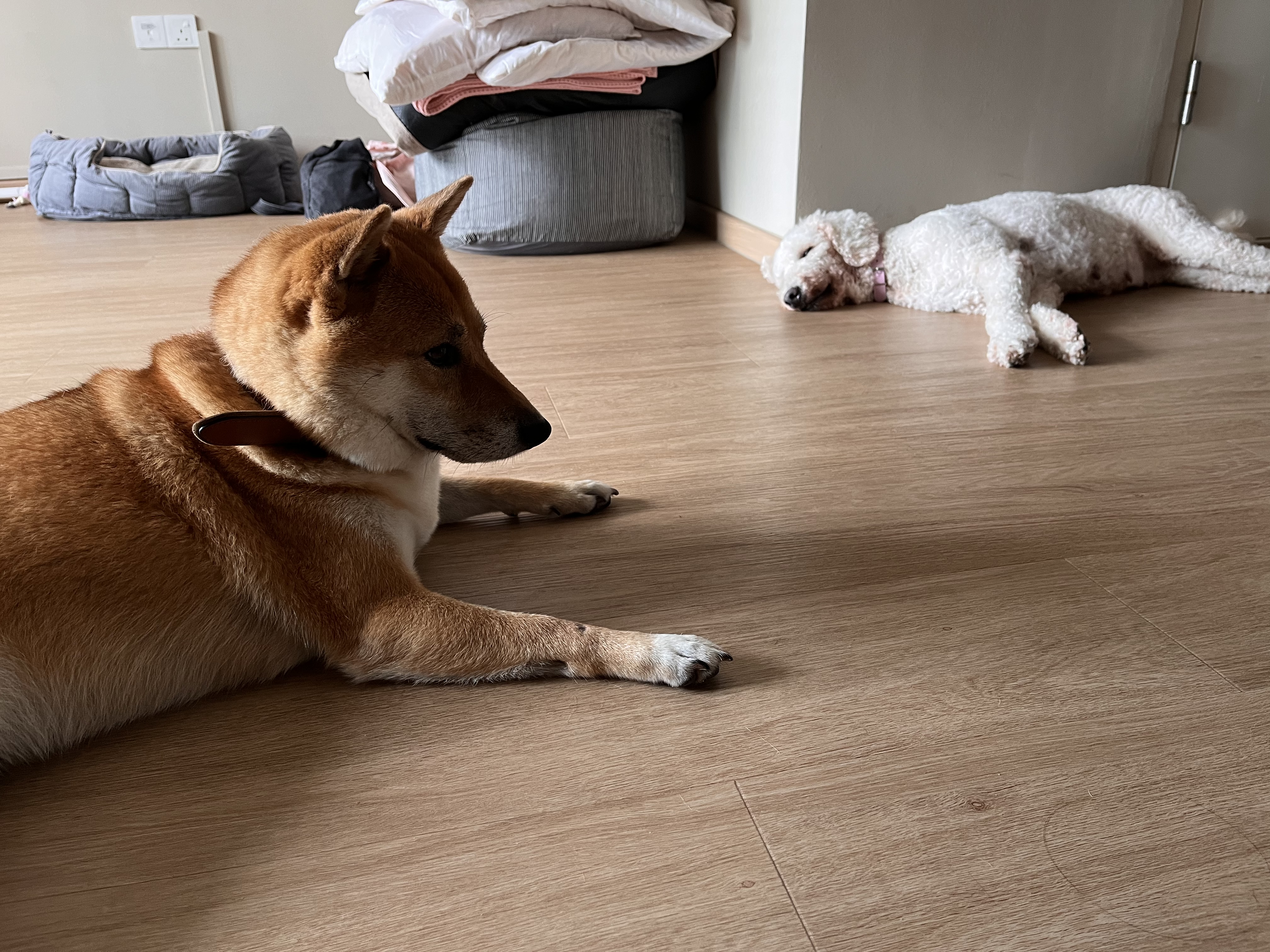 image-18