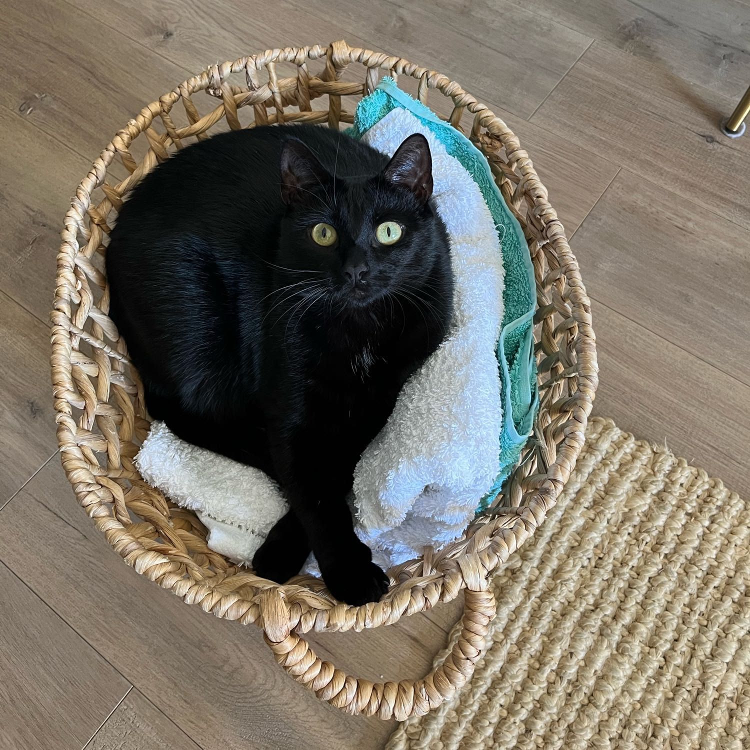 Sootie