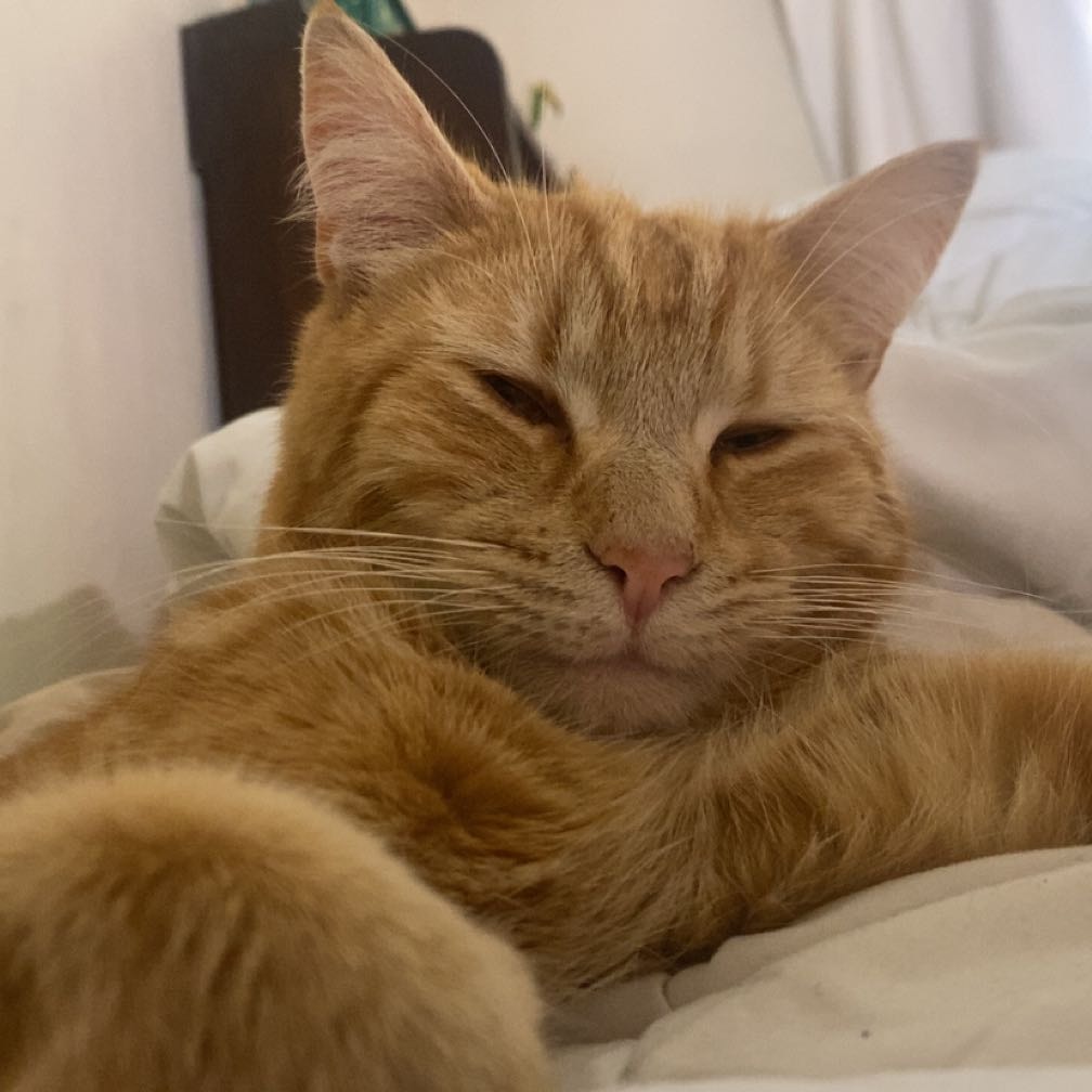Roary
