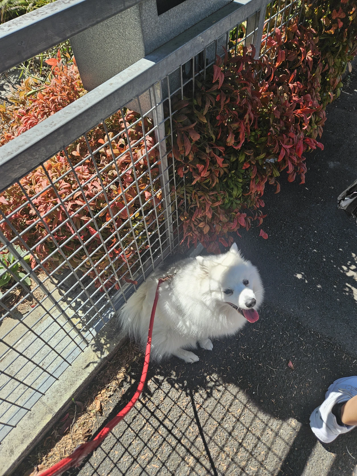 image-6