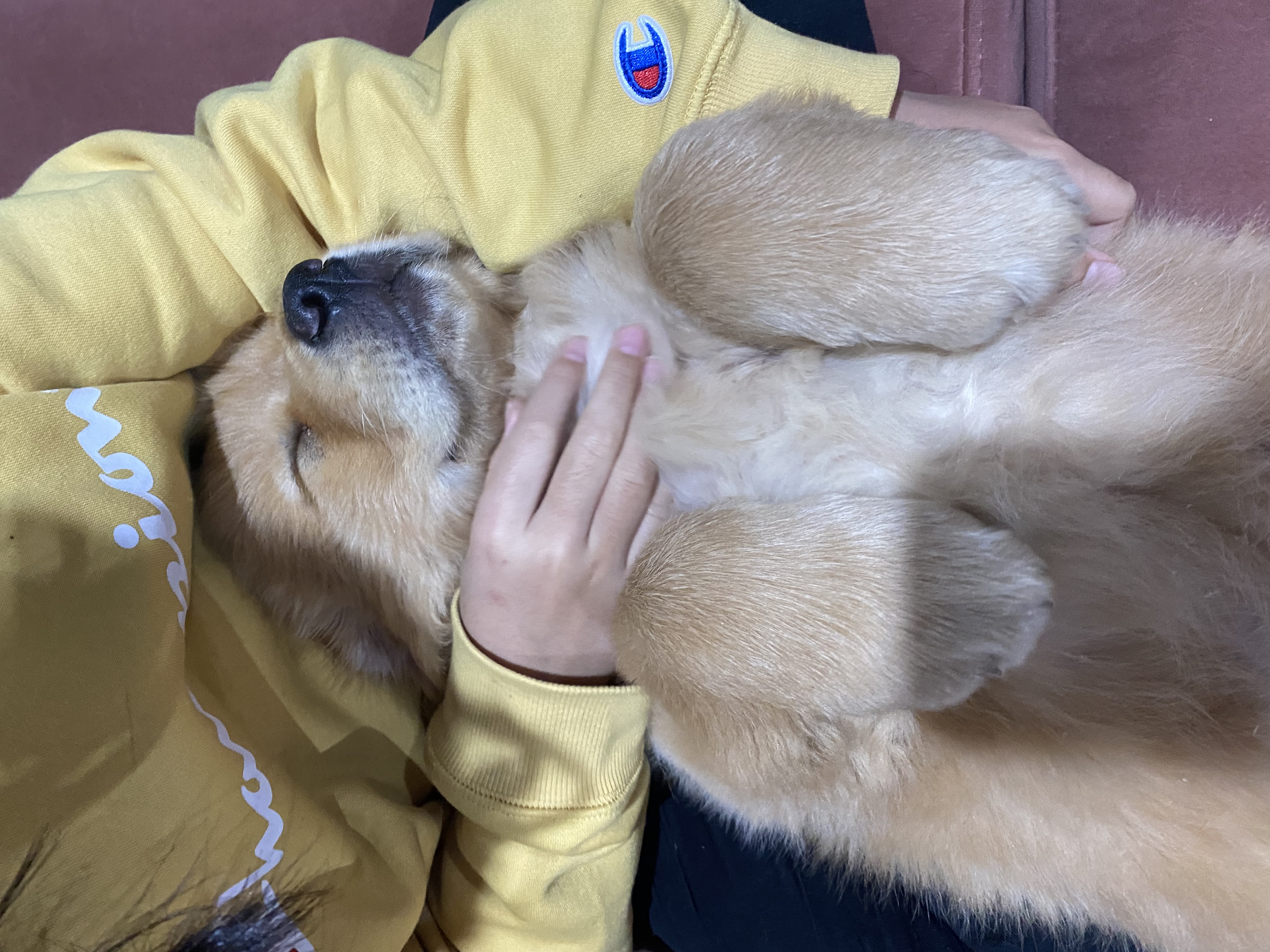 image-7