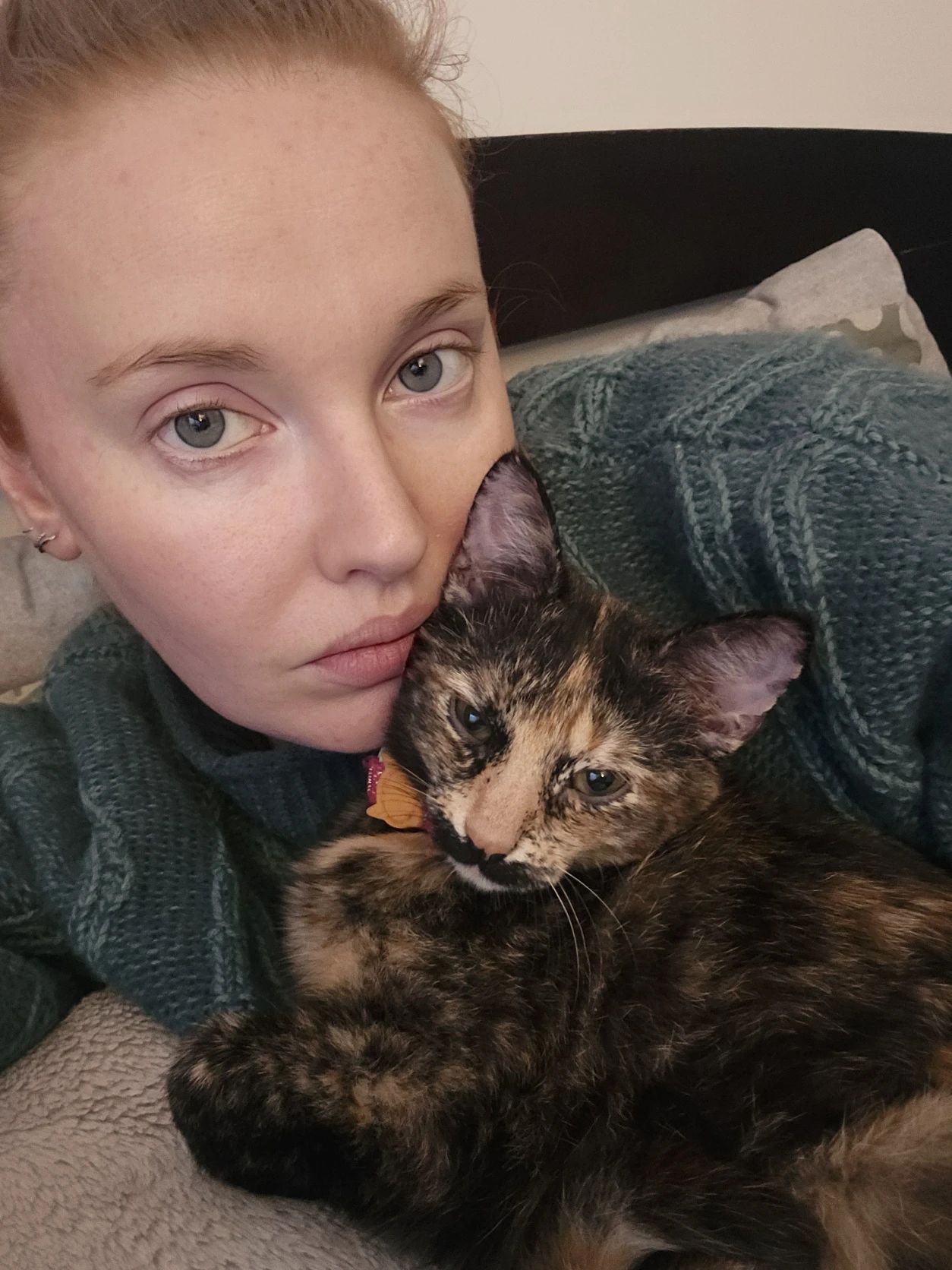 image-6