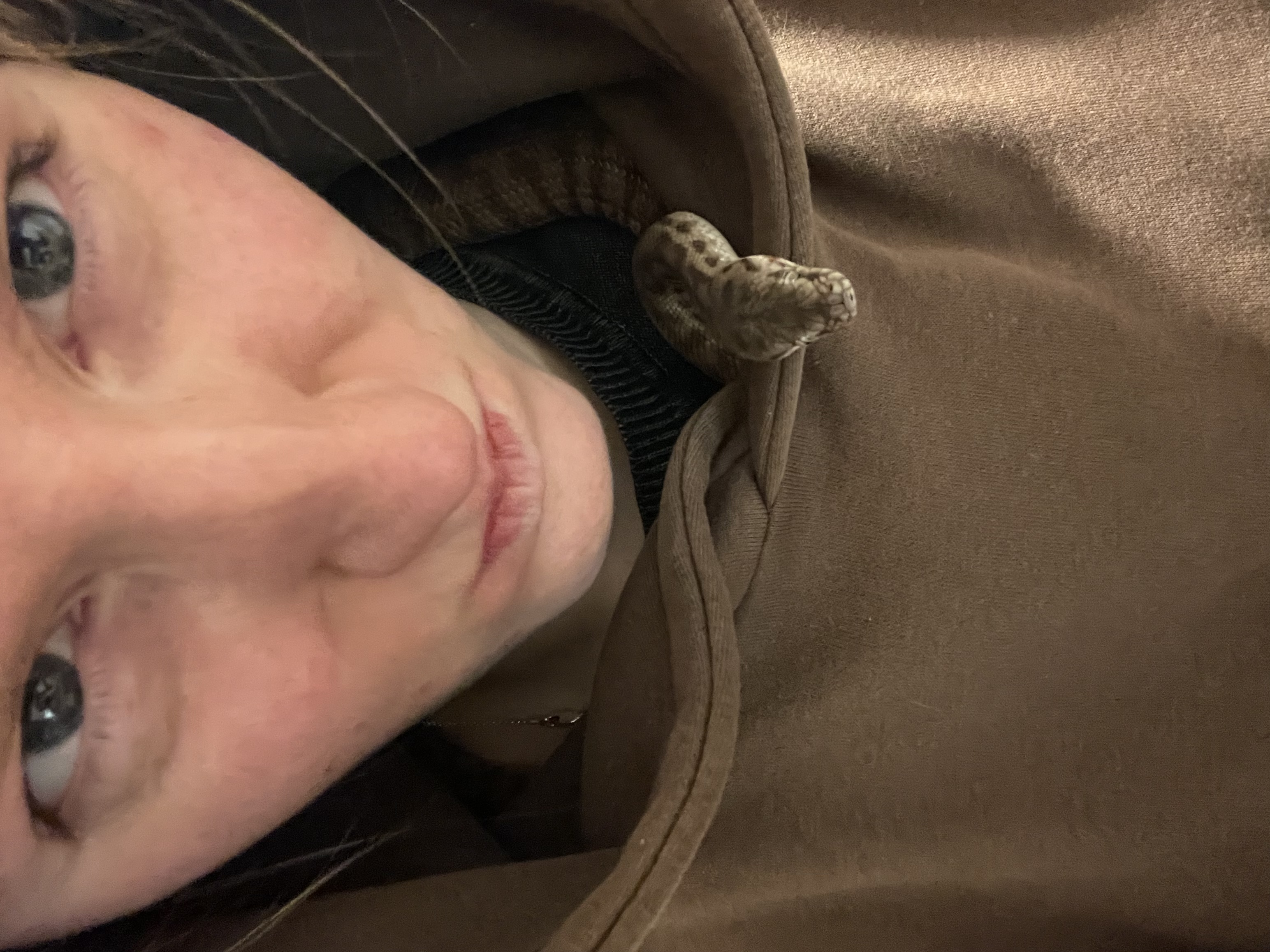 image-4