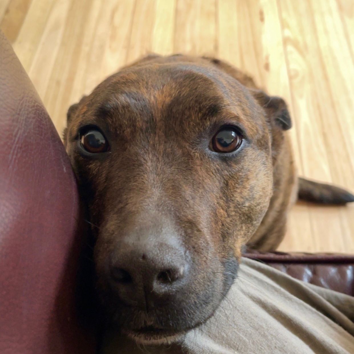 Gus