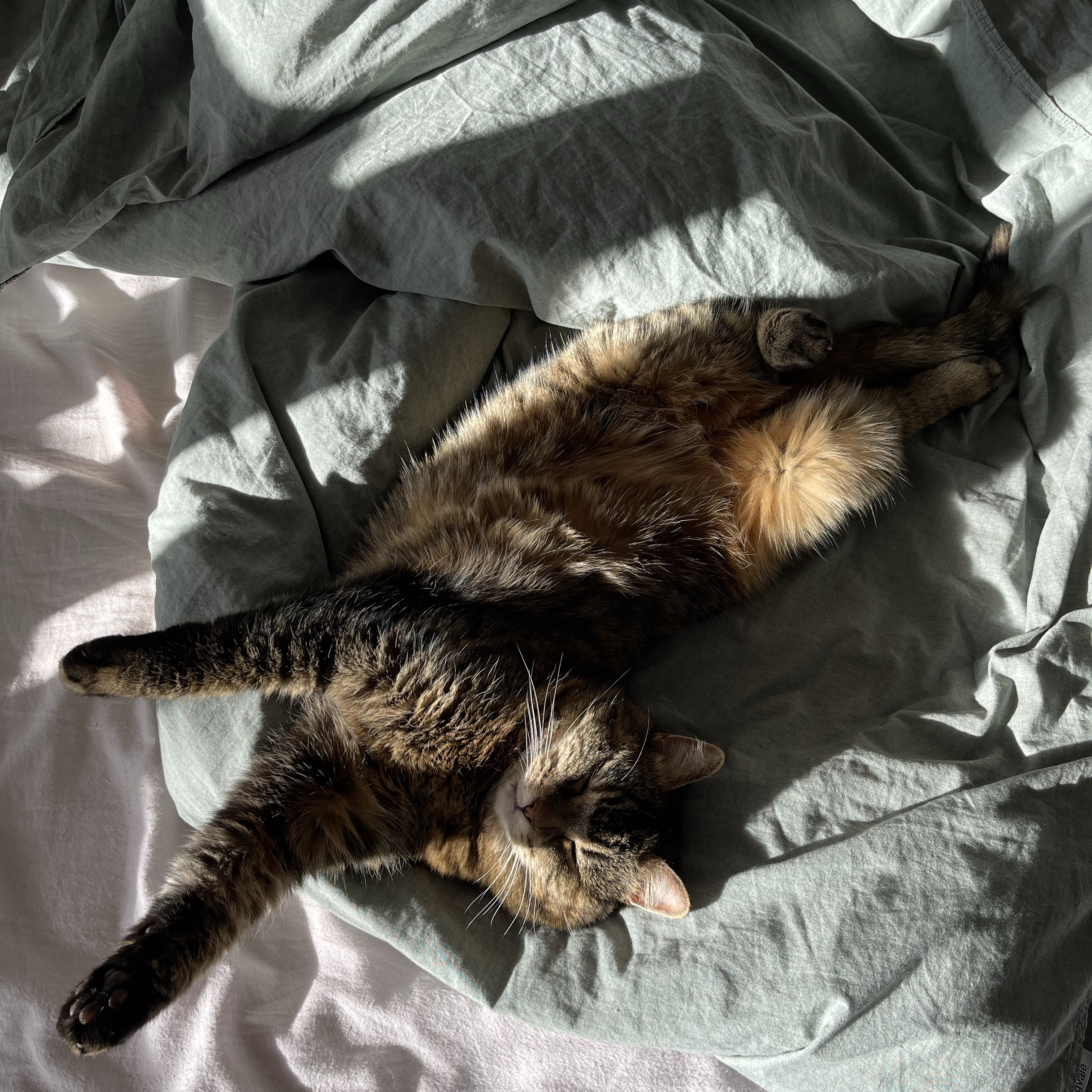 Artemis 
