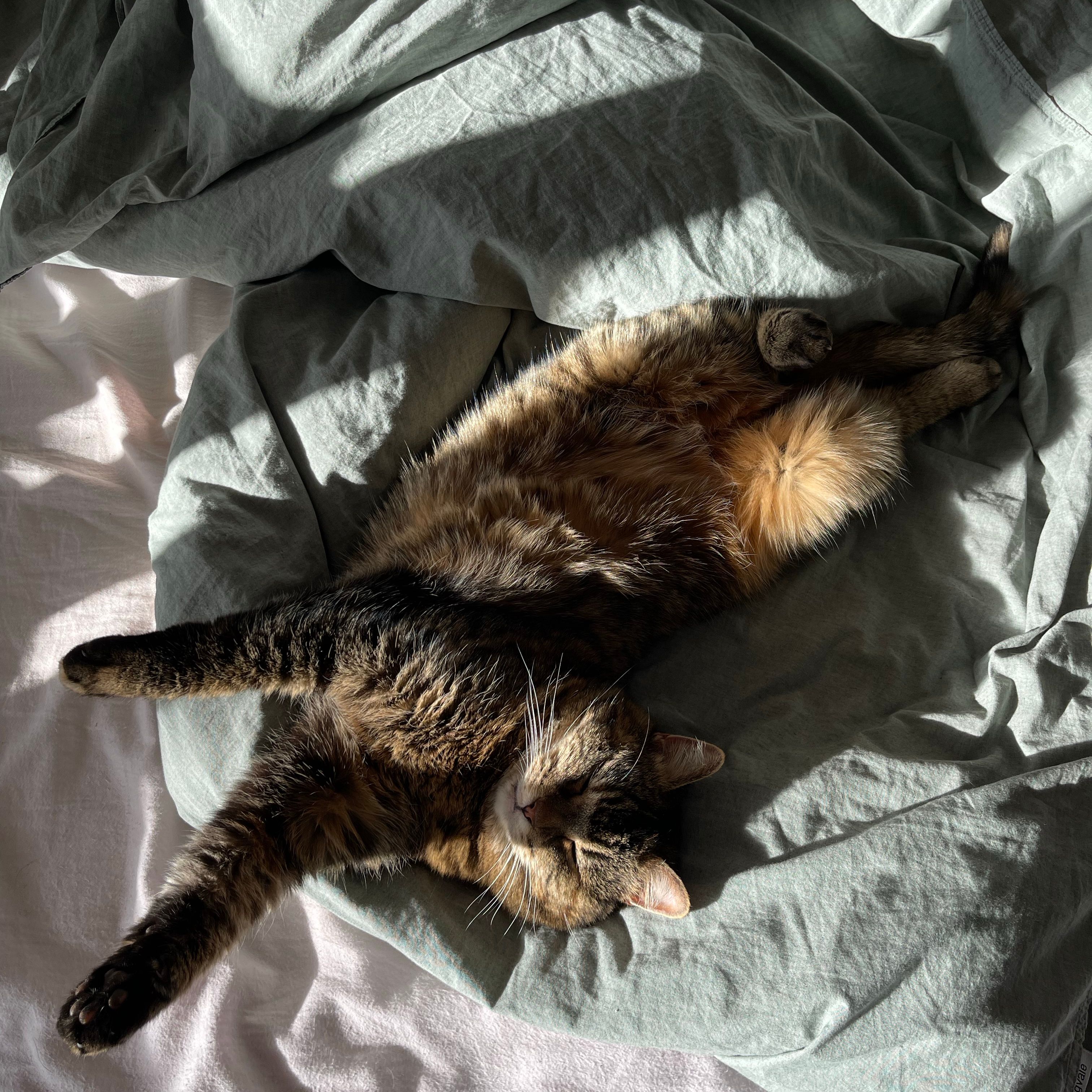 Artemis