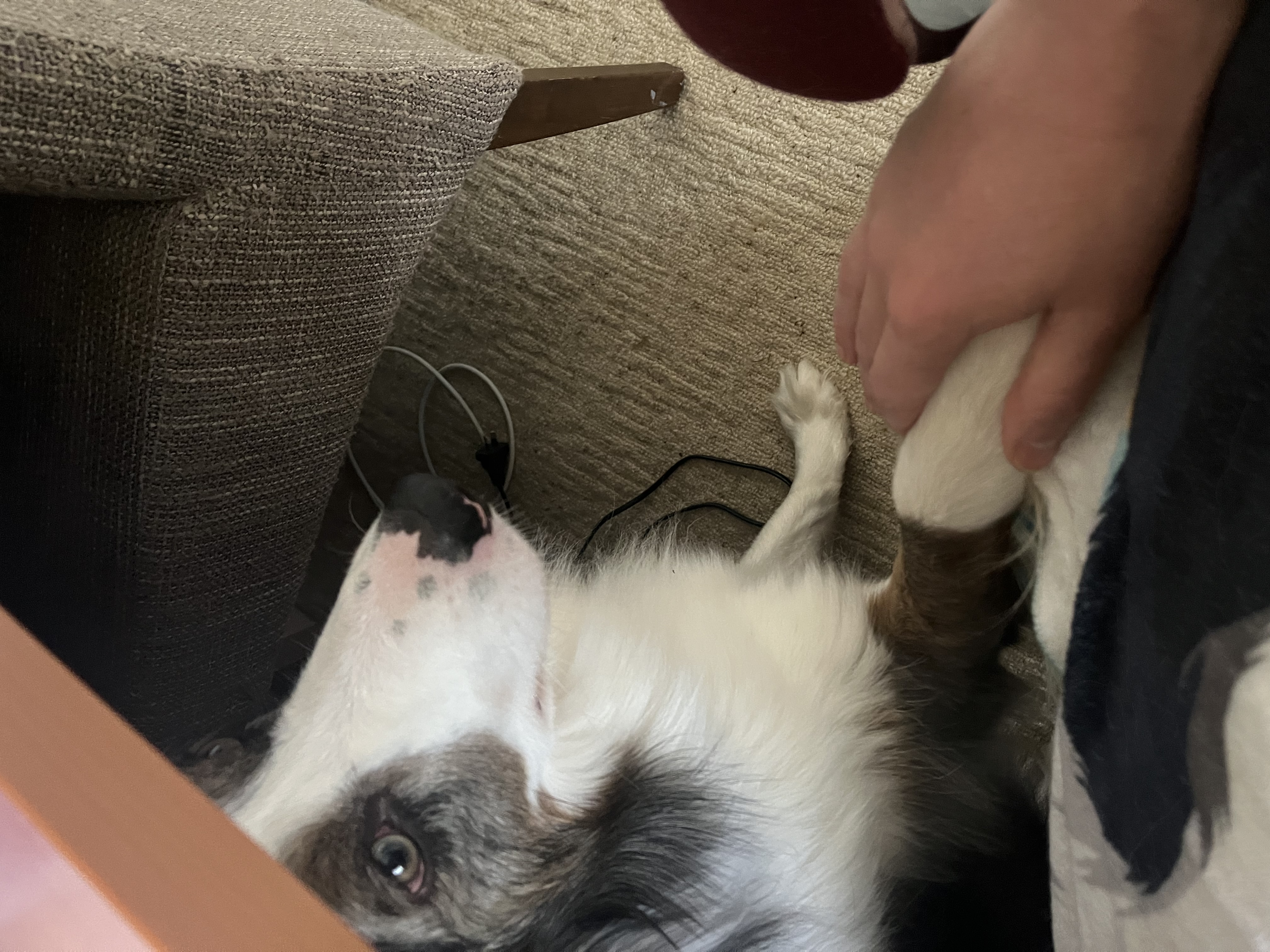 image-8
