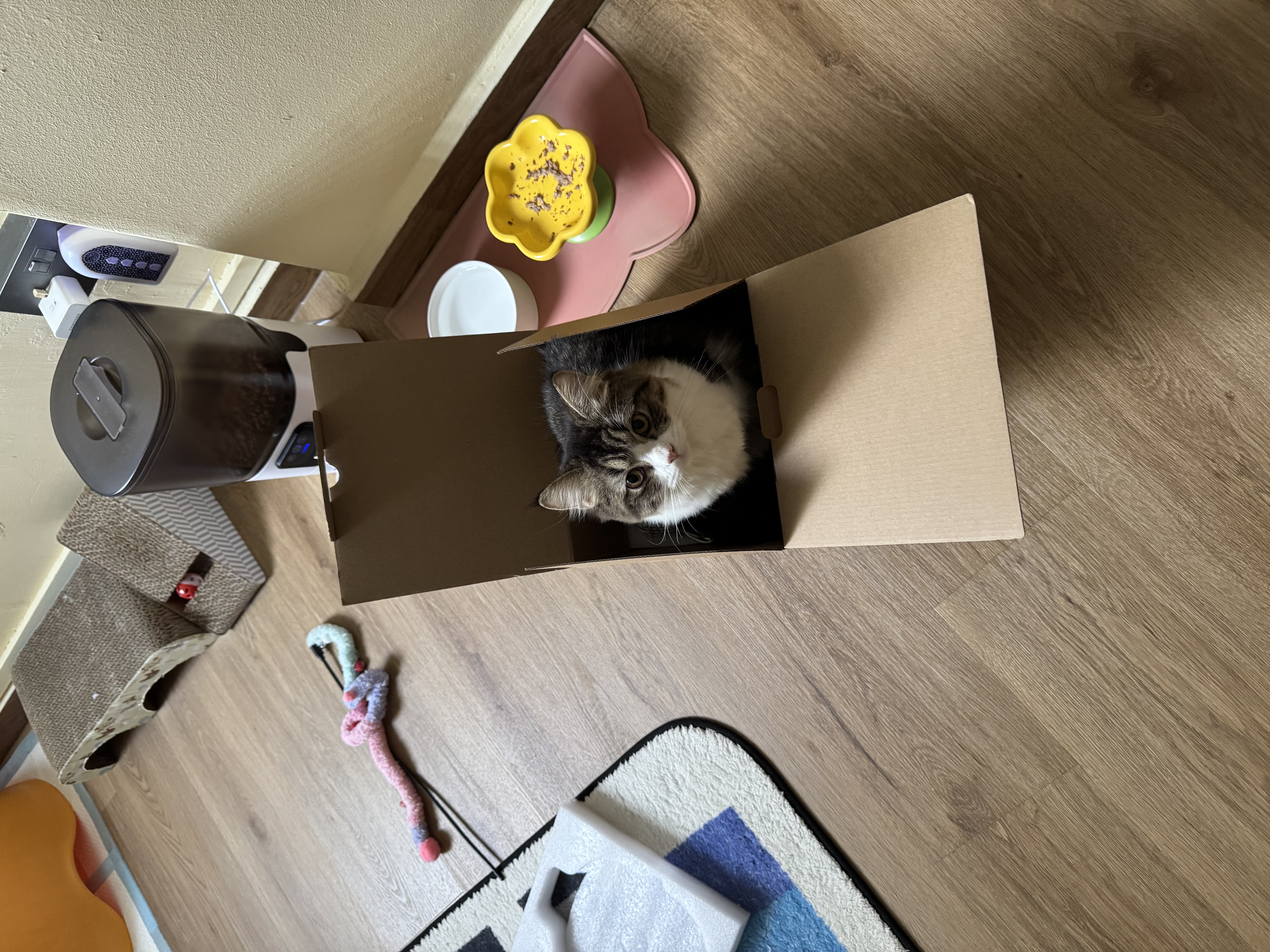 image-16