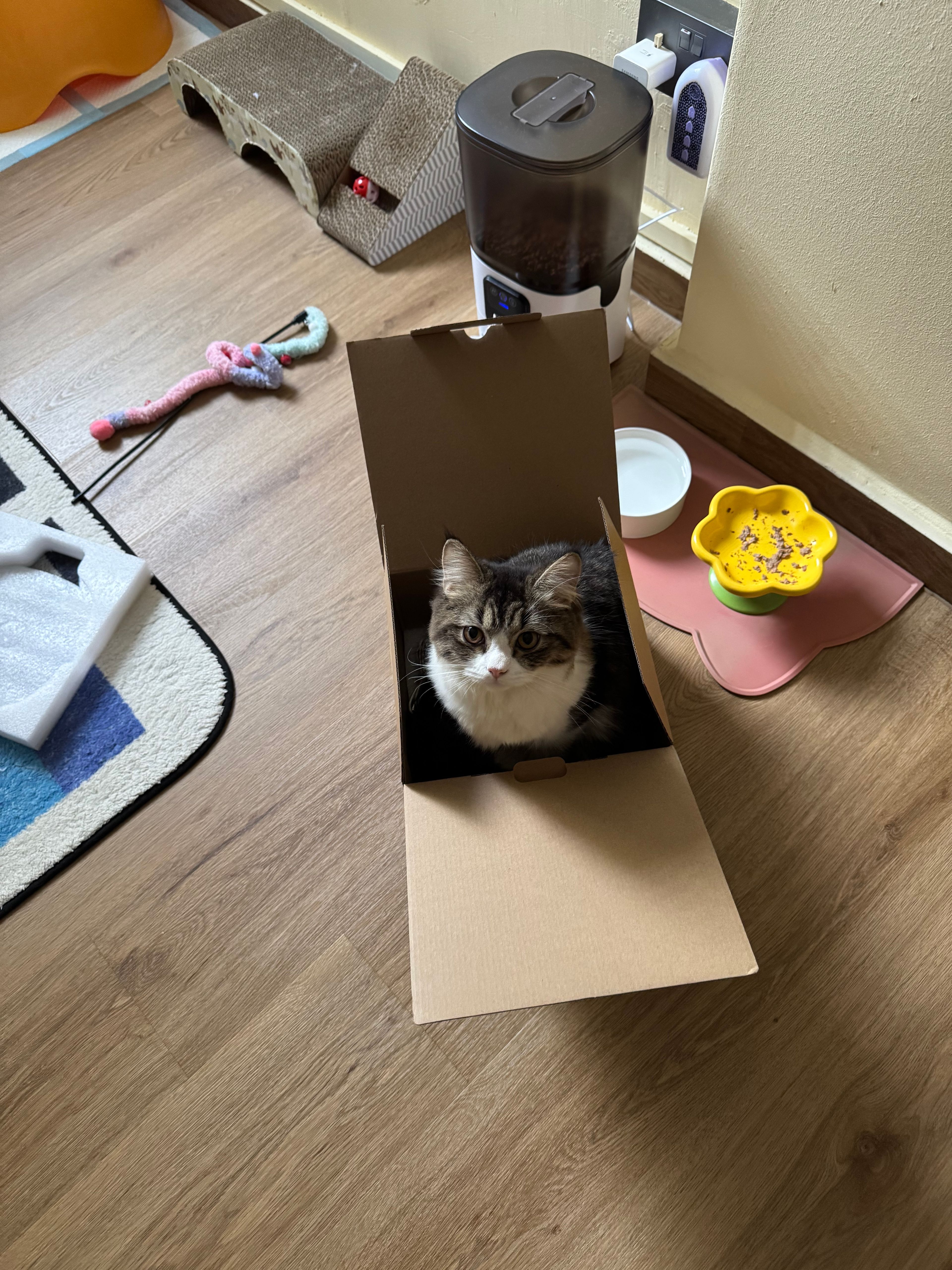 image-16