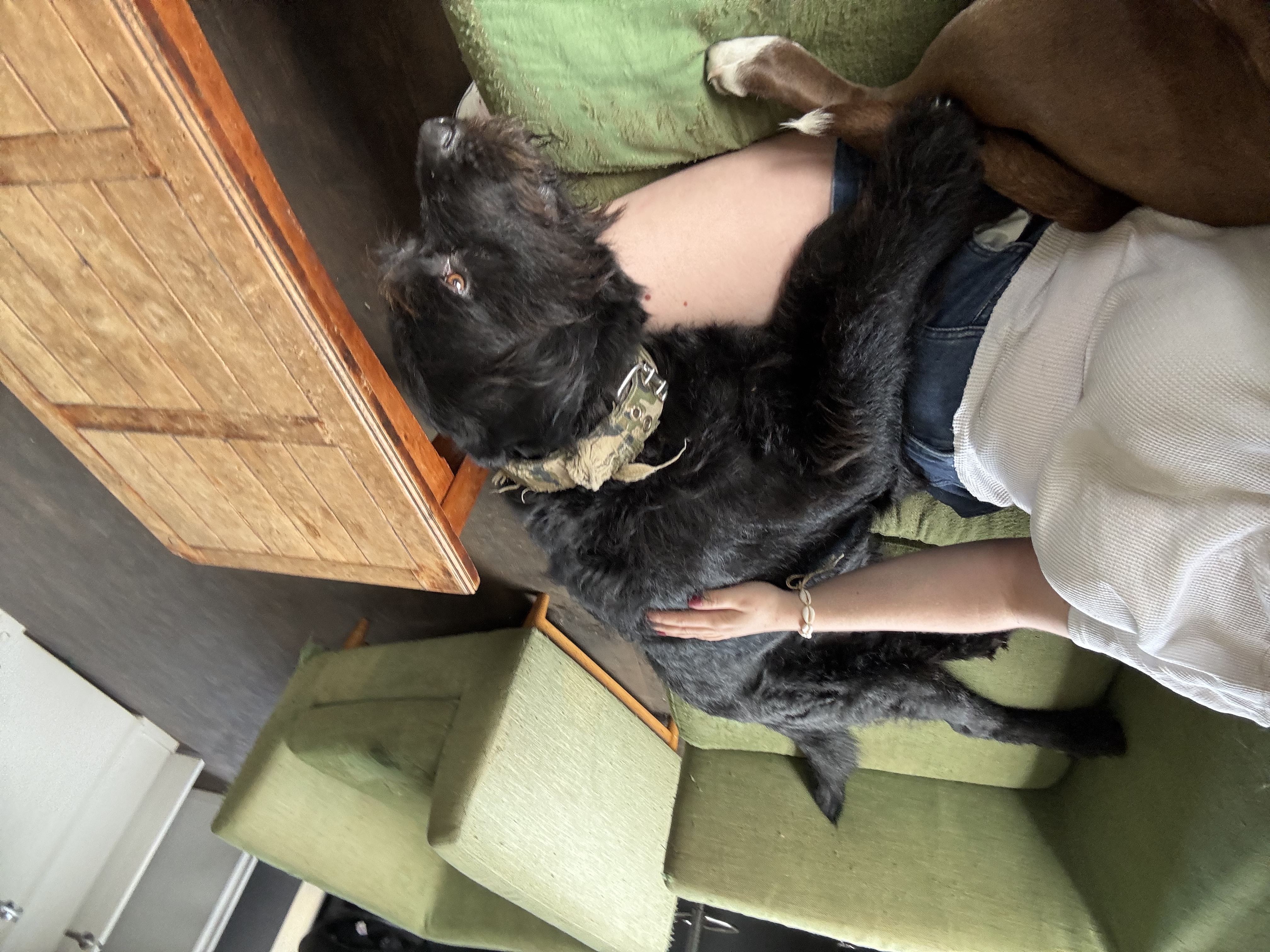 image-7