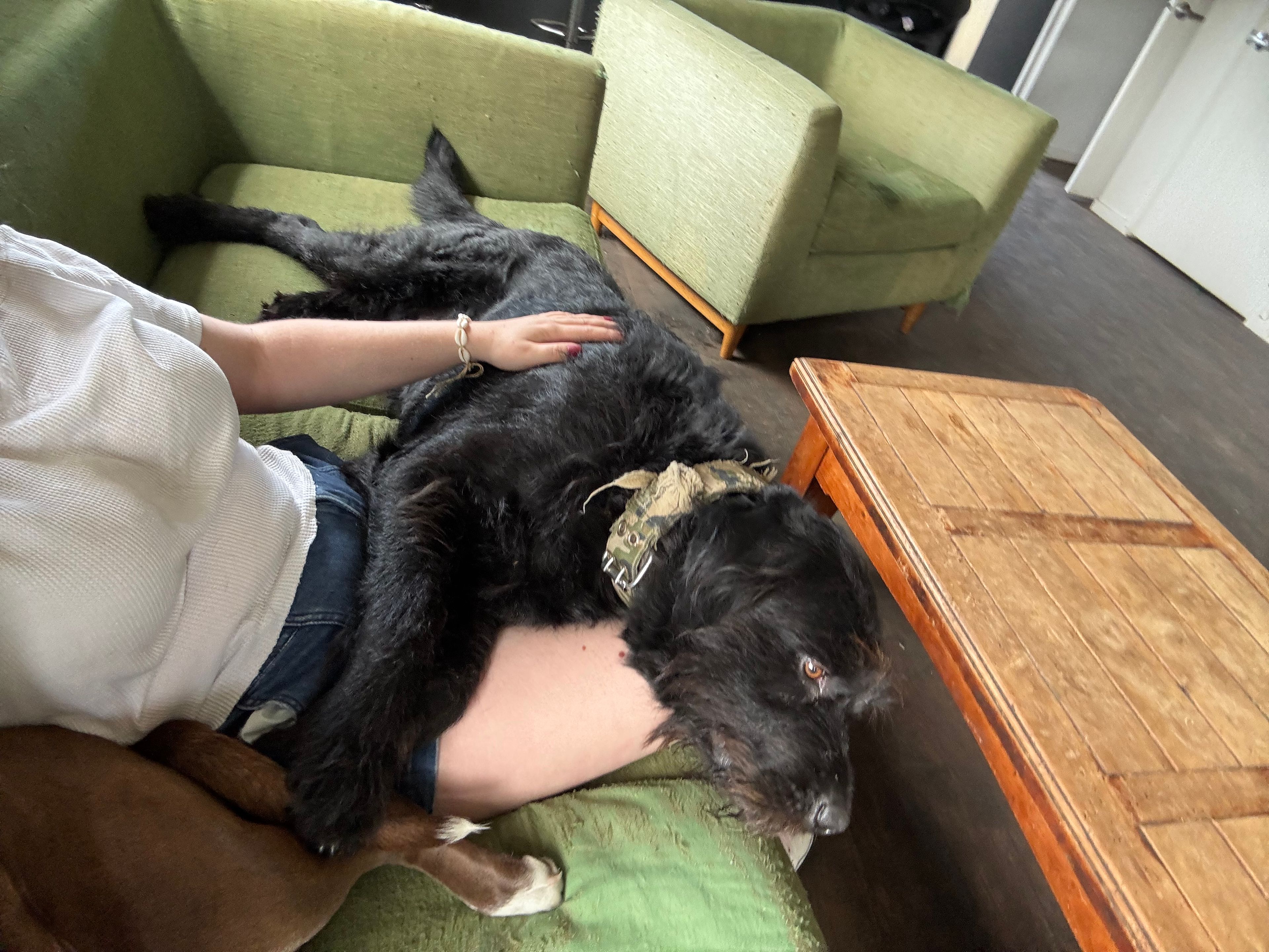image-7