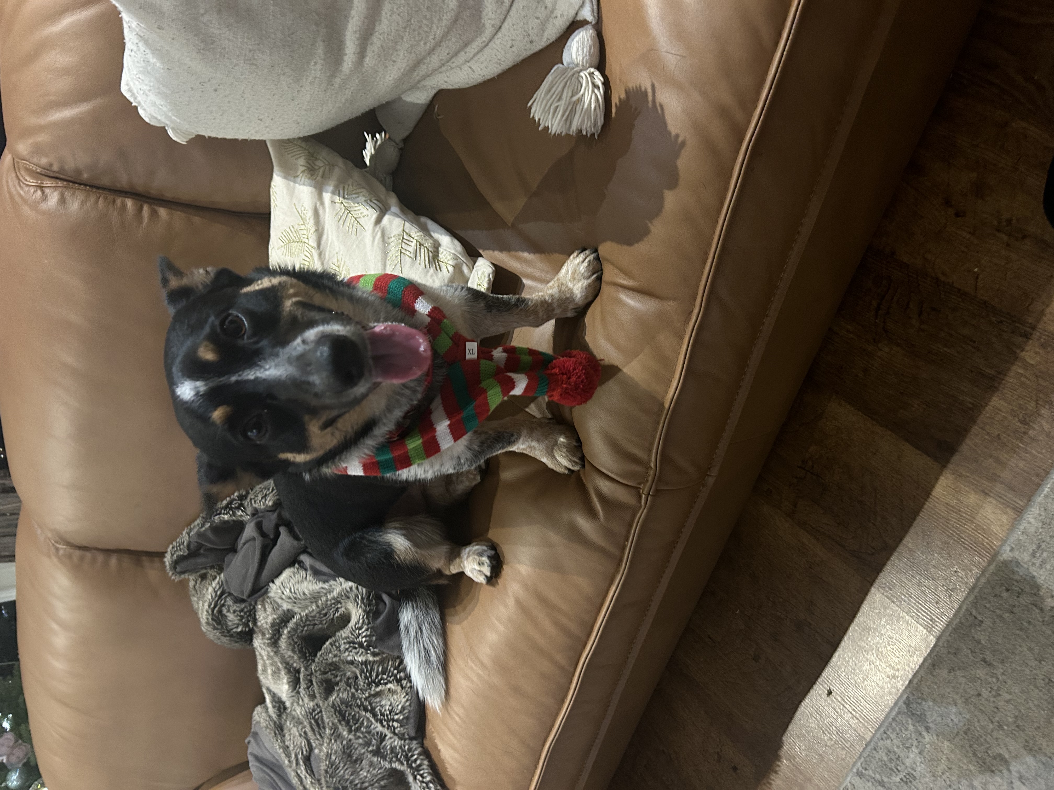 image-8