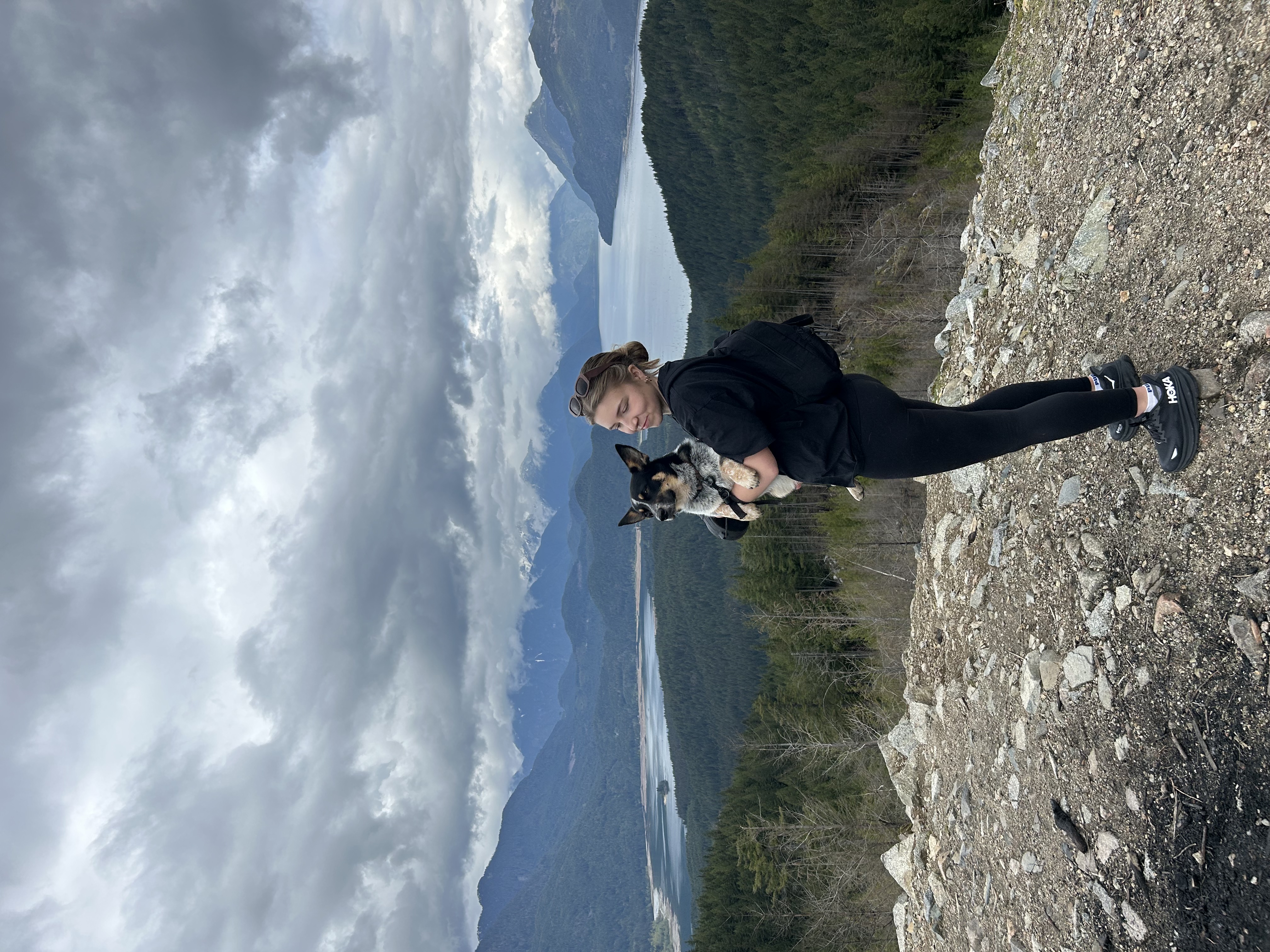 image-3