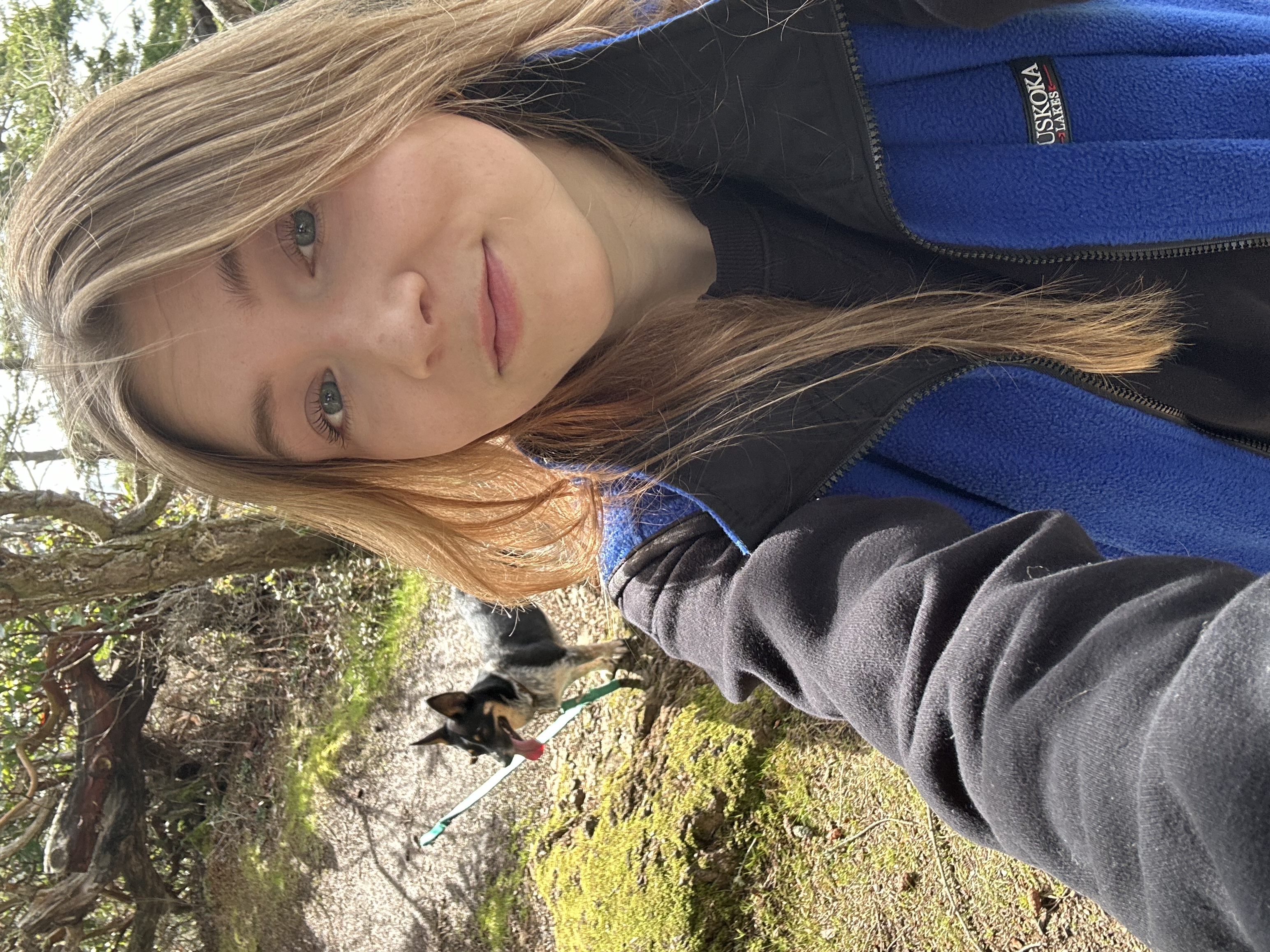 image-4