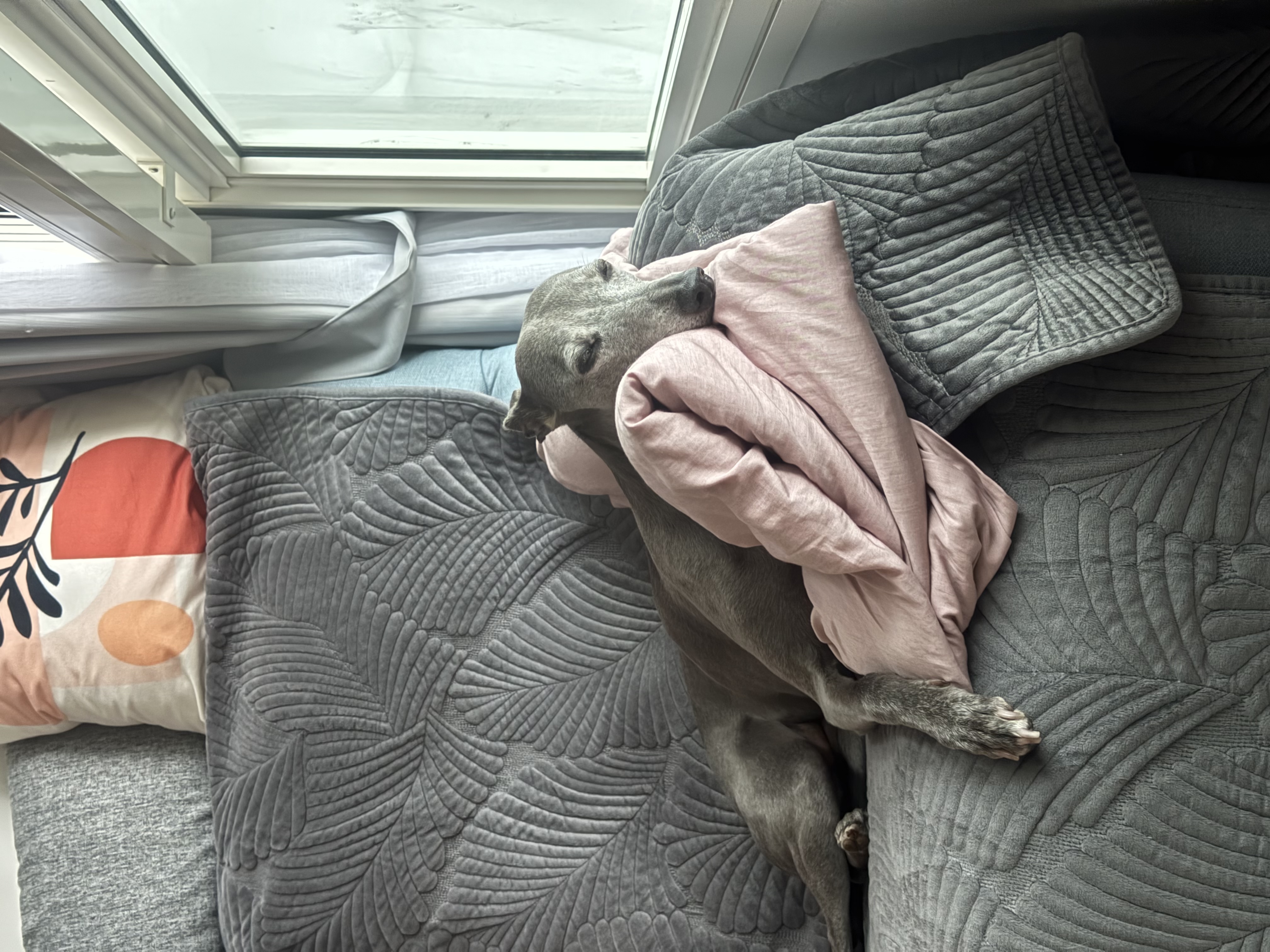 image-11