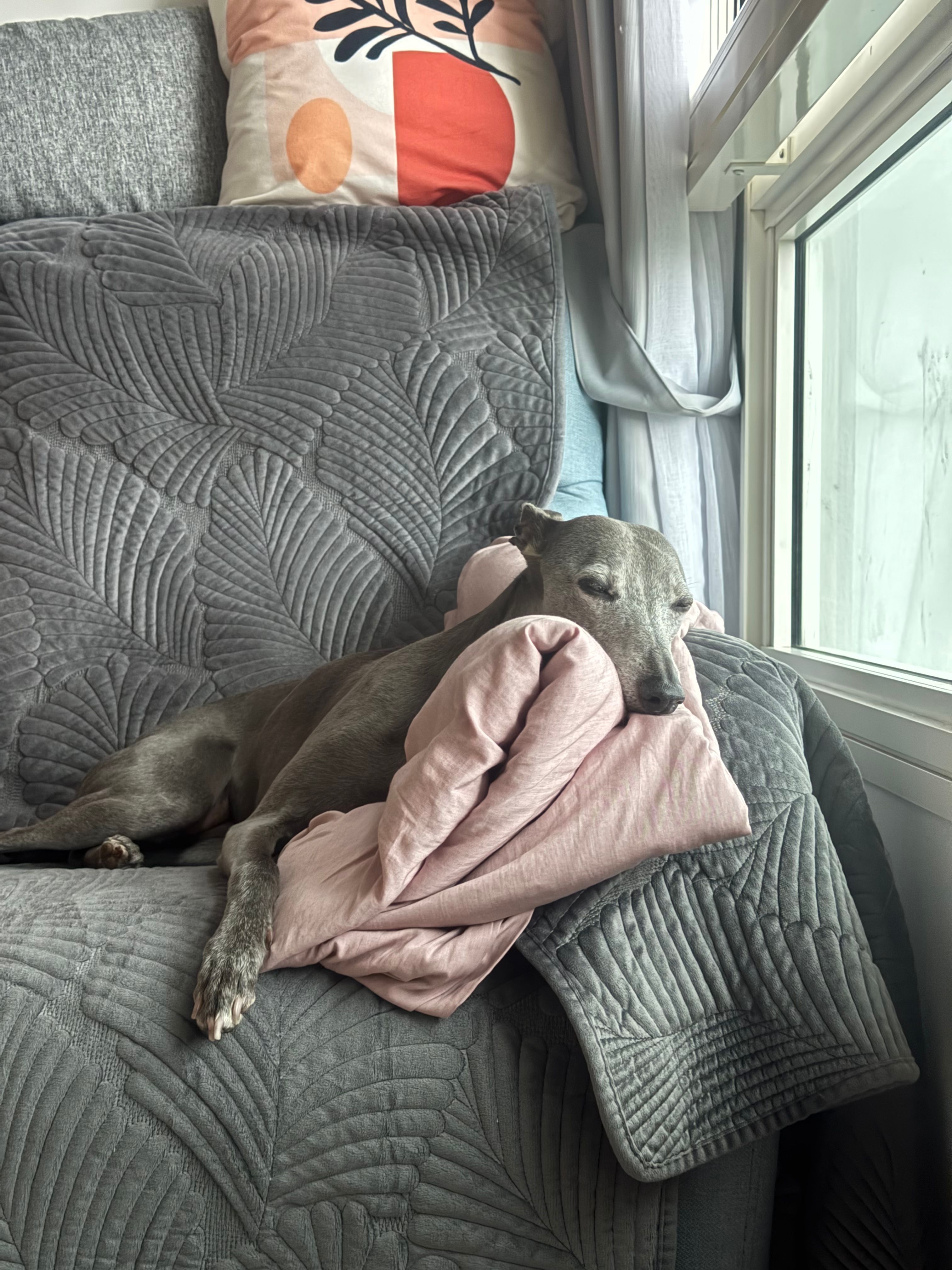 image-11