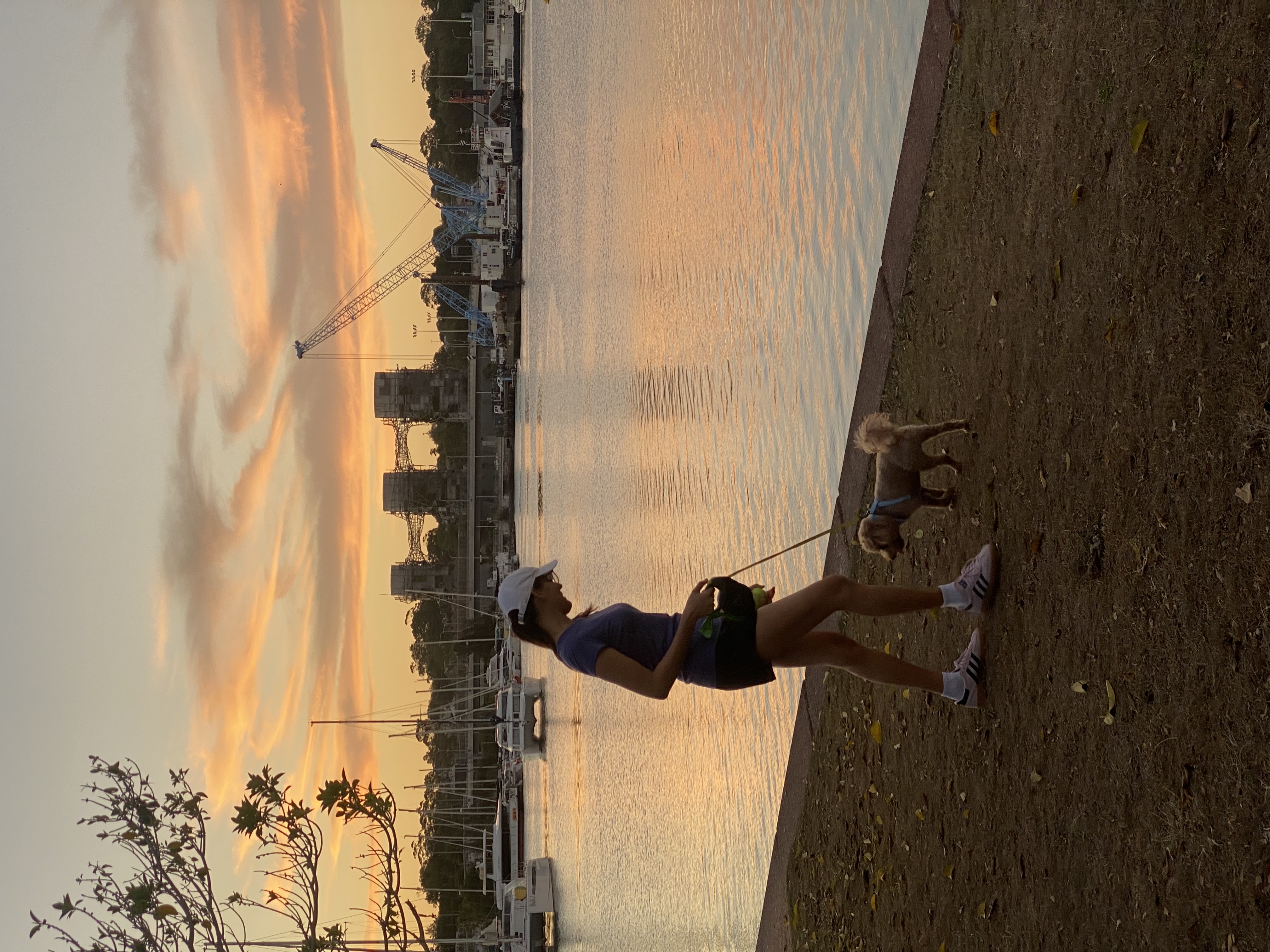 image-10
