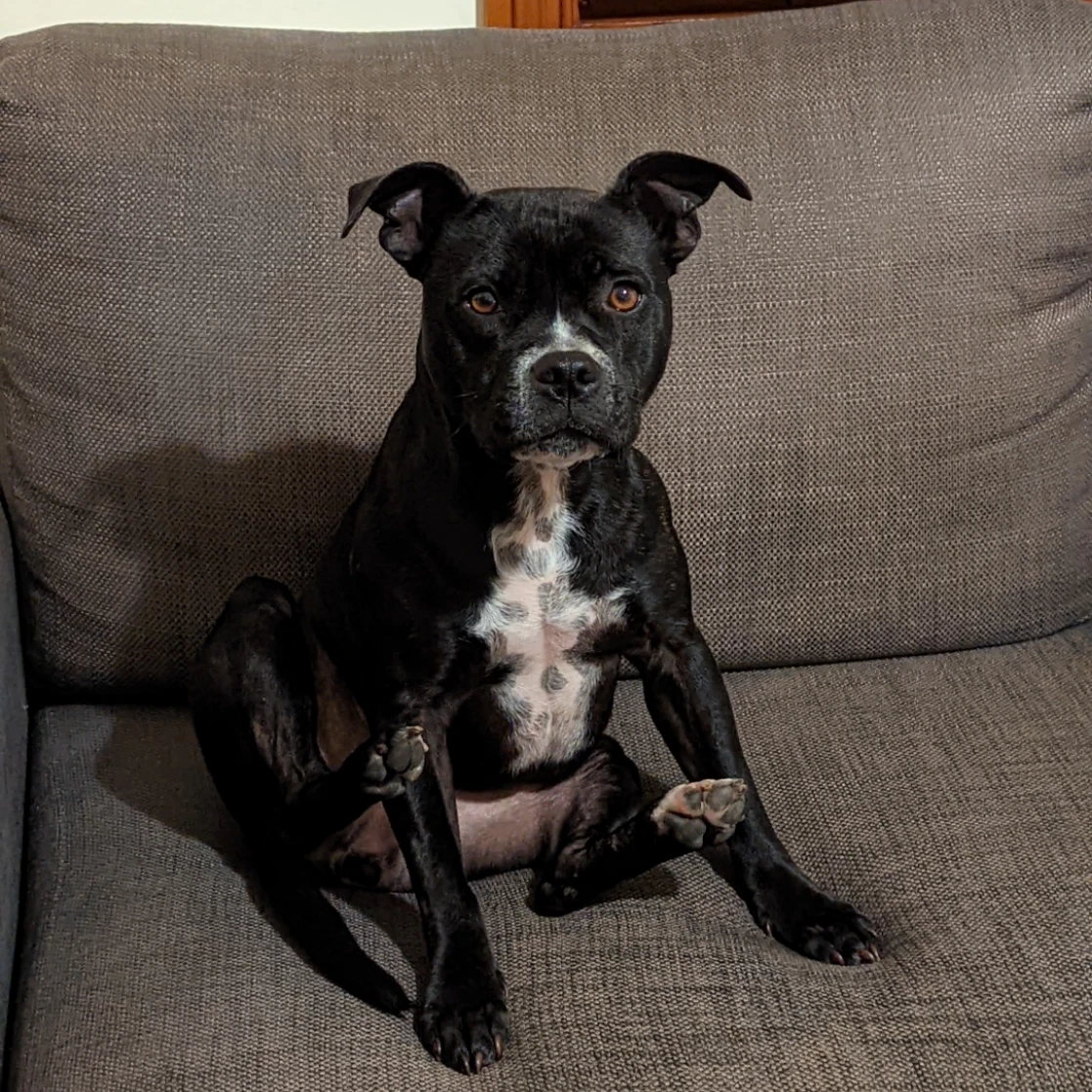 Skye