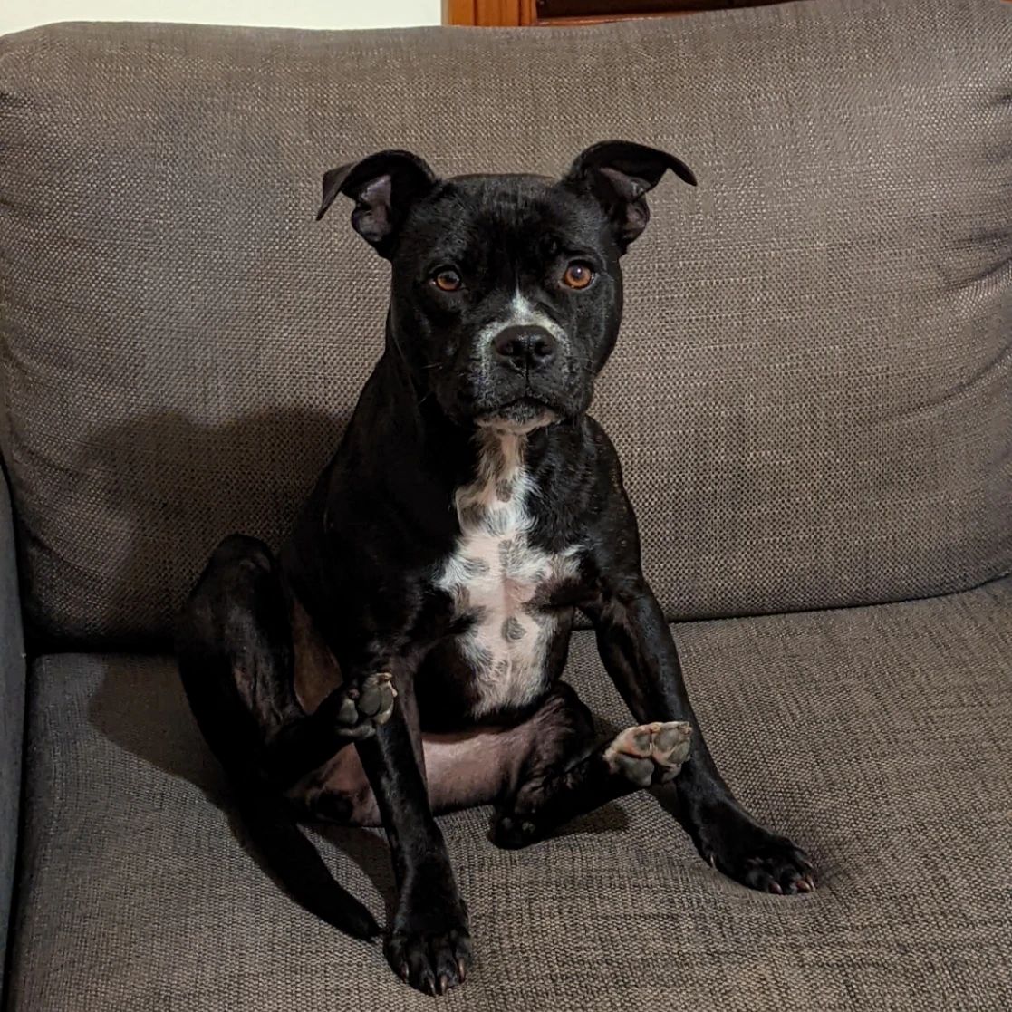 Skye