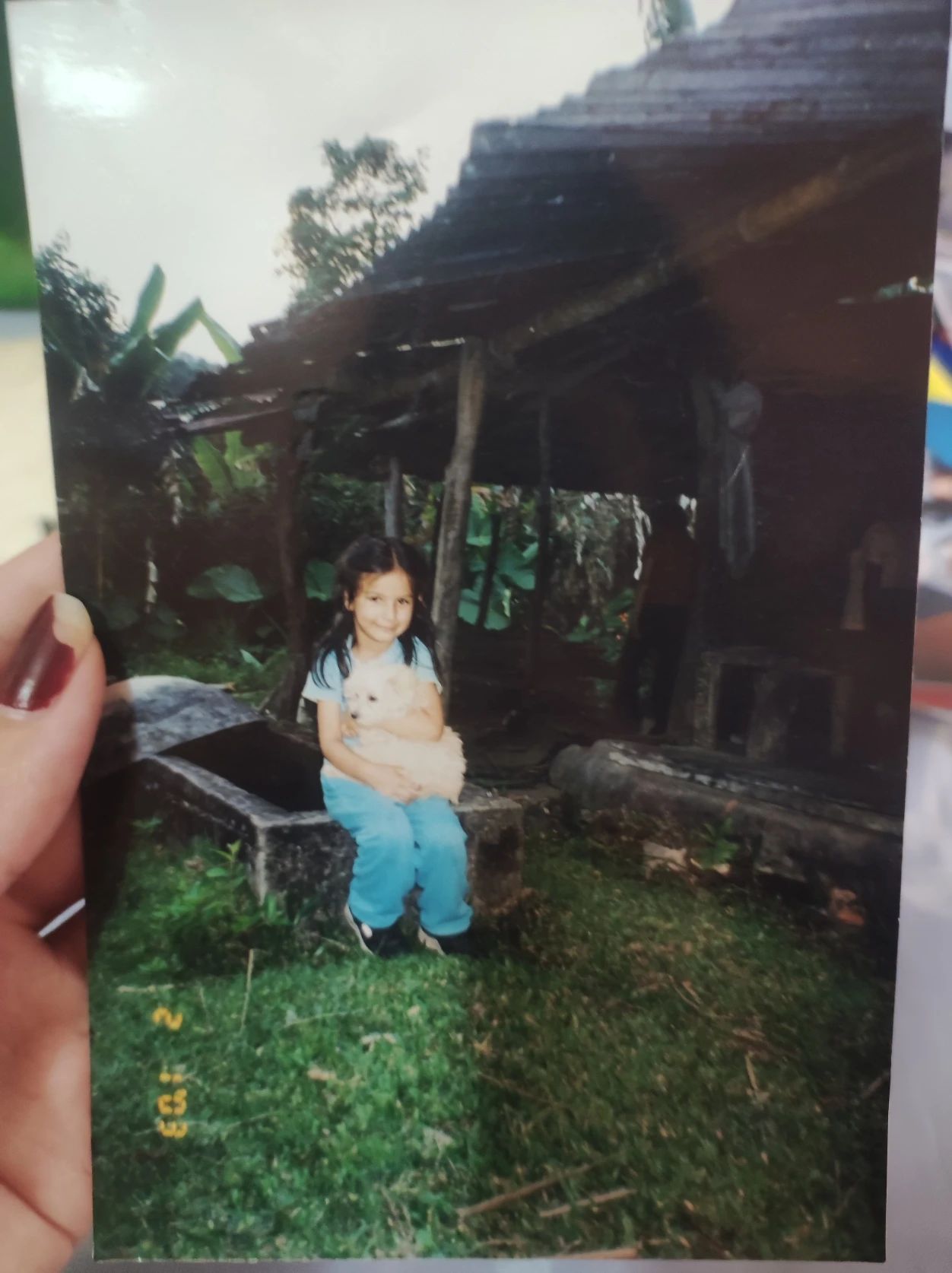 image-5