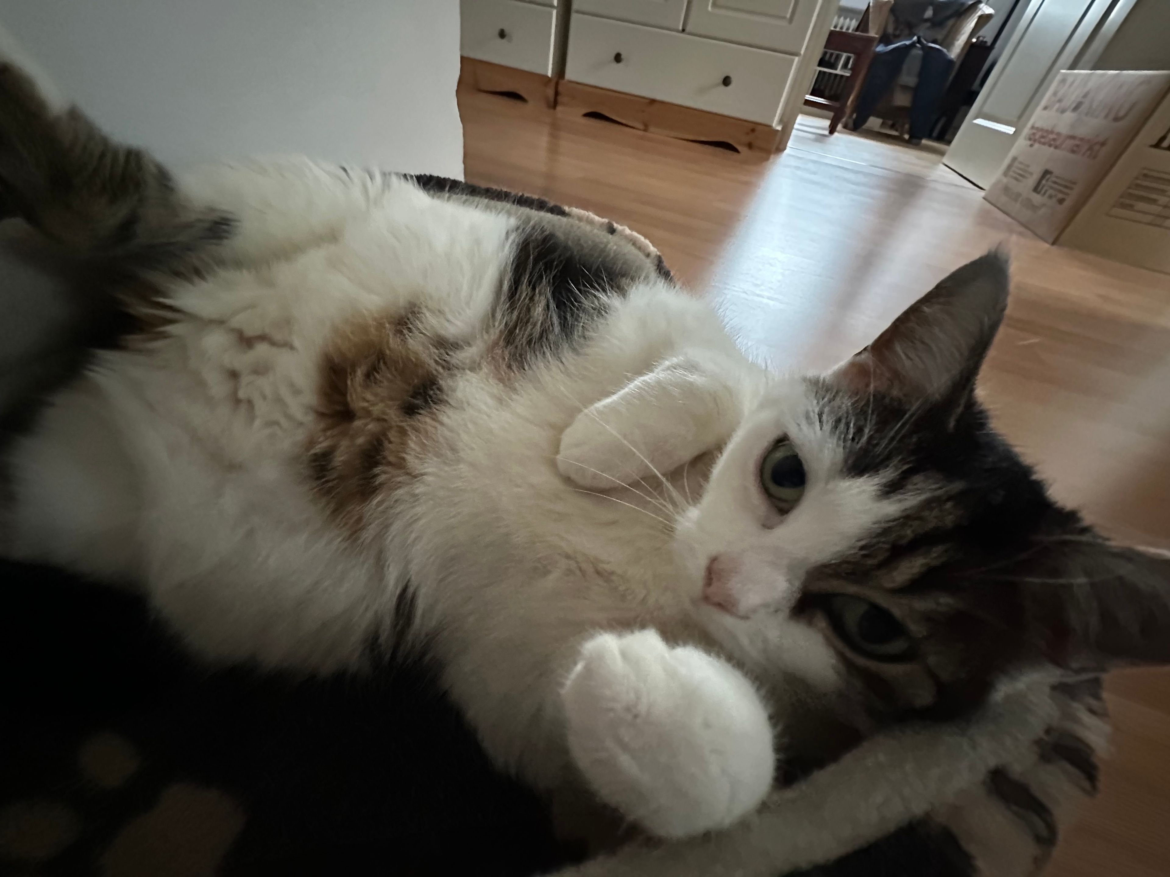 image-11