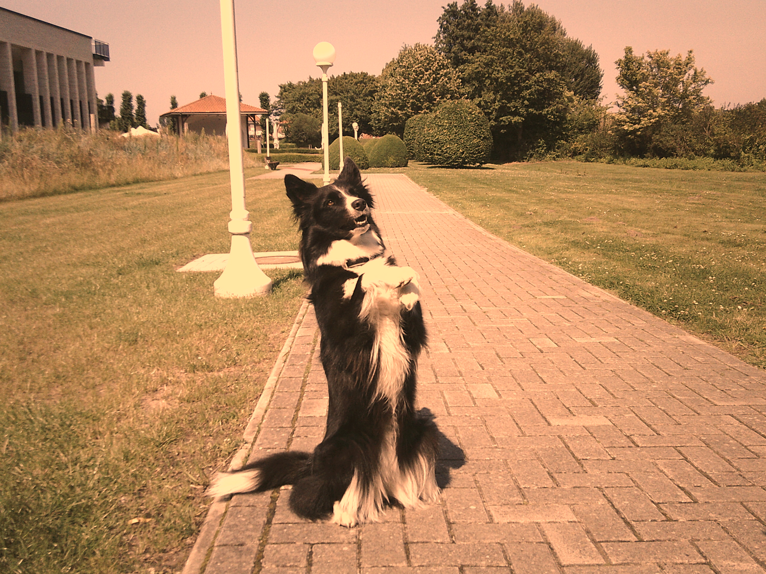 image-6