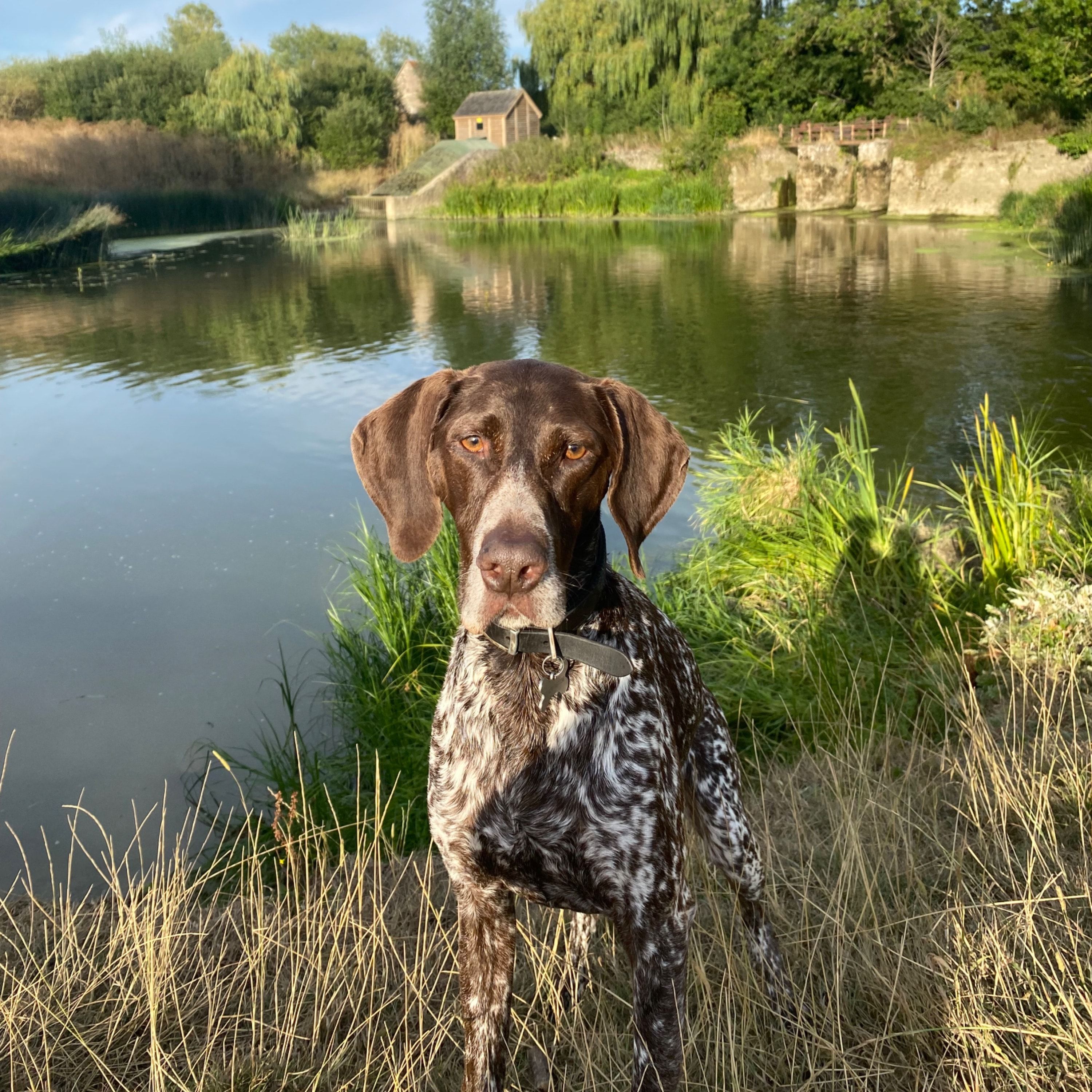 Mylo