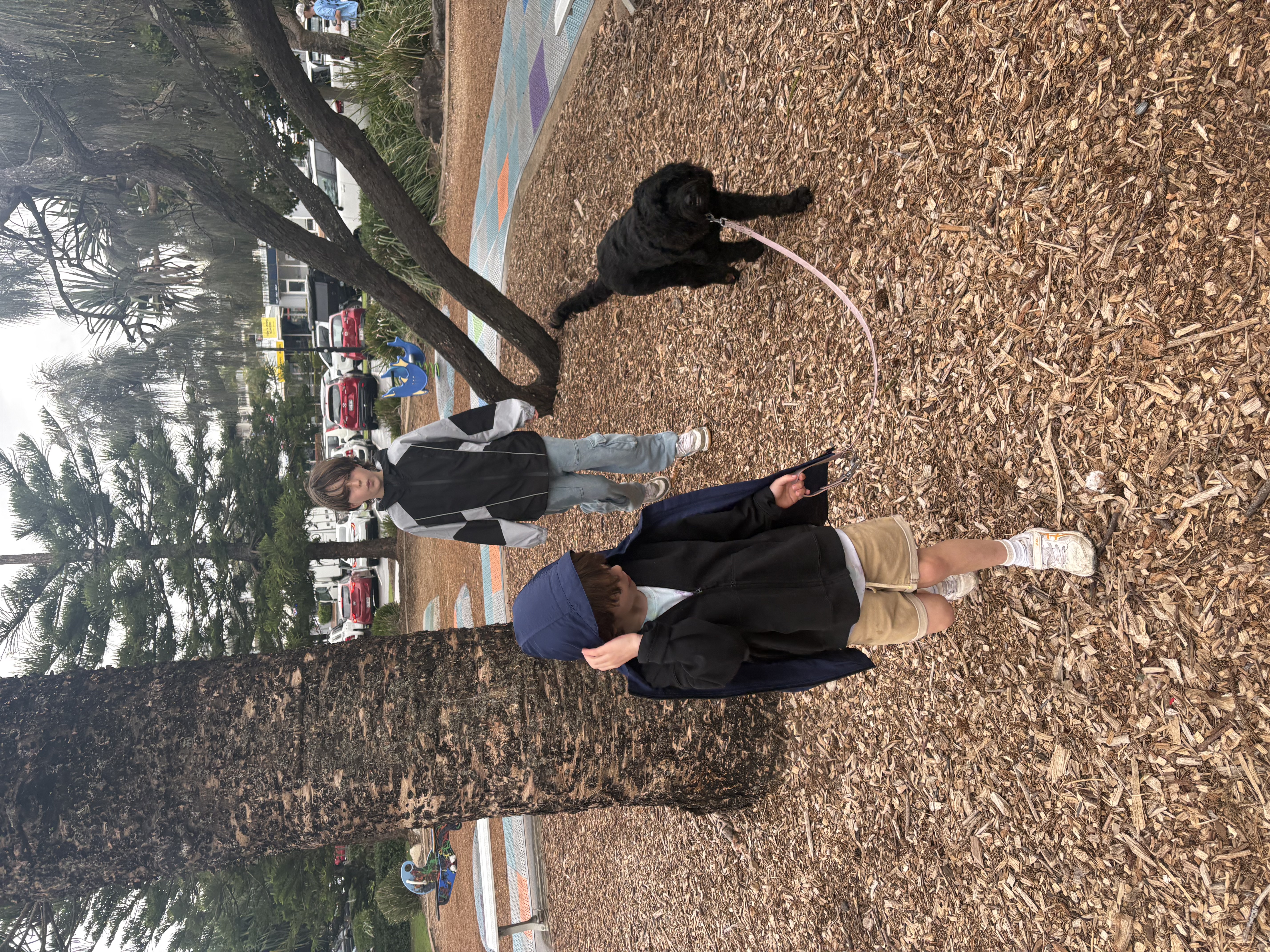 image-9
