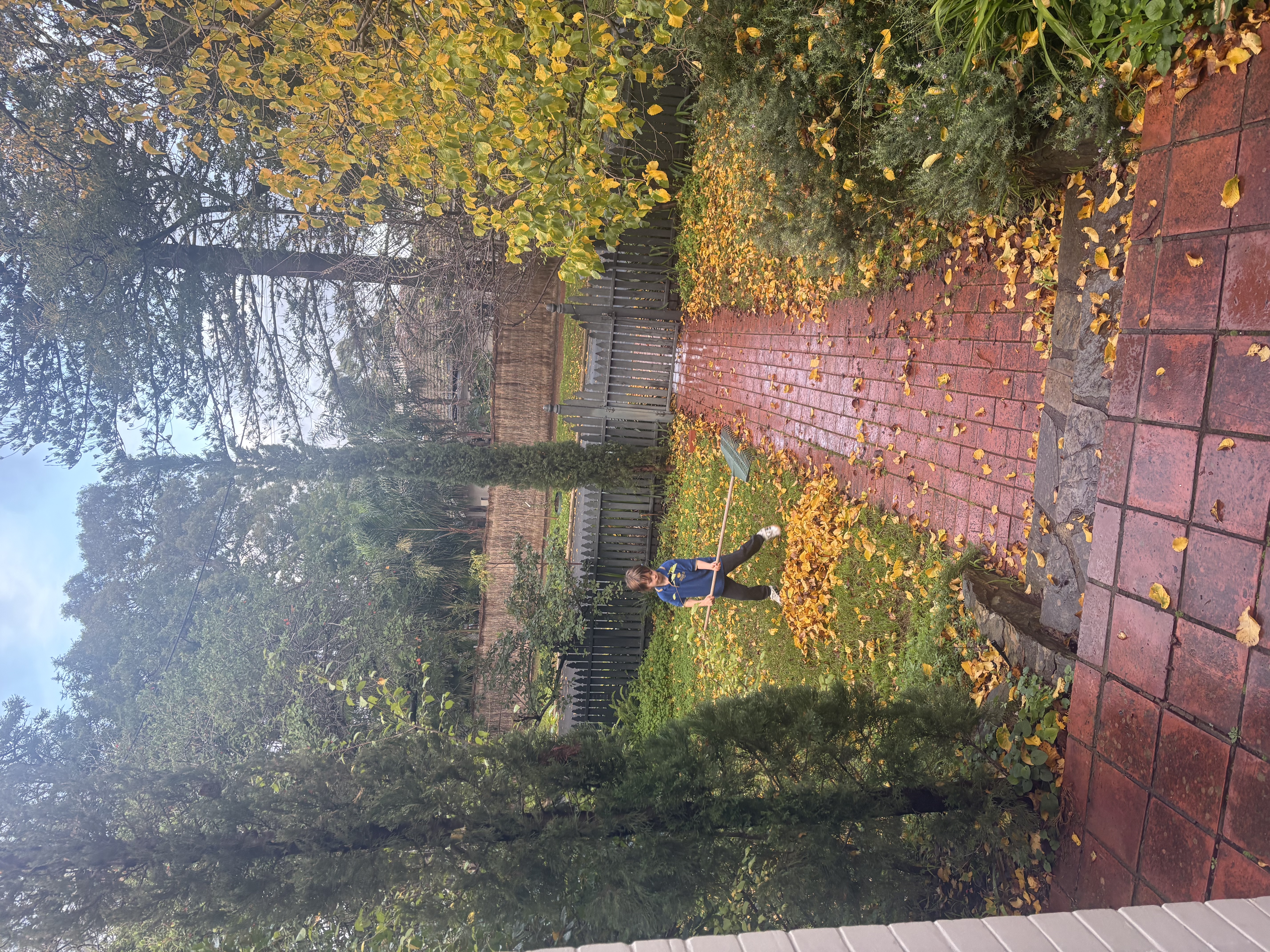 image-17