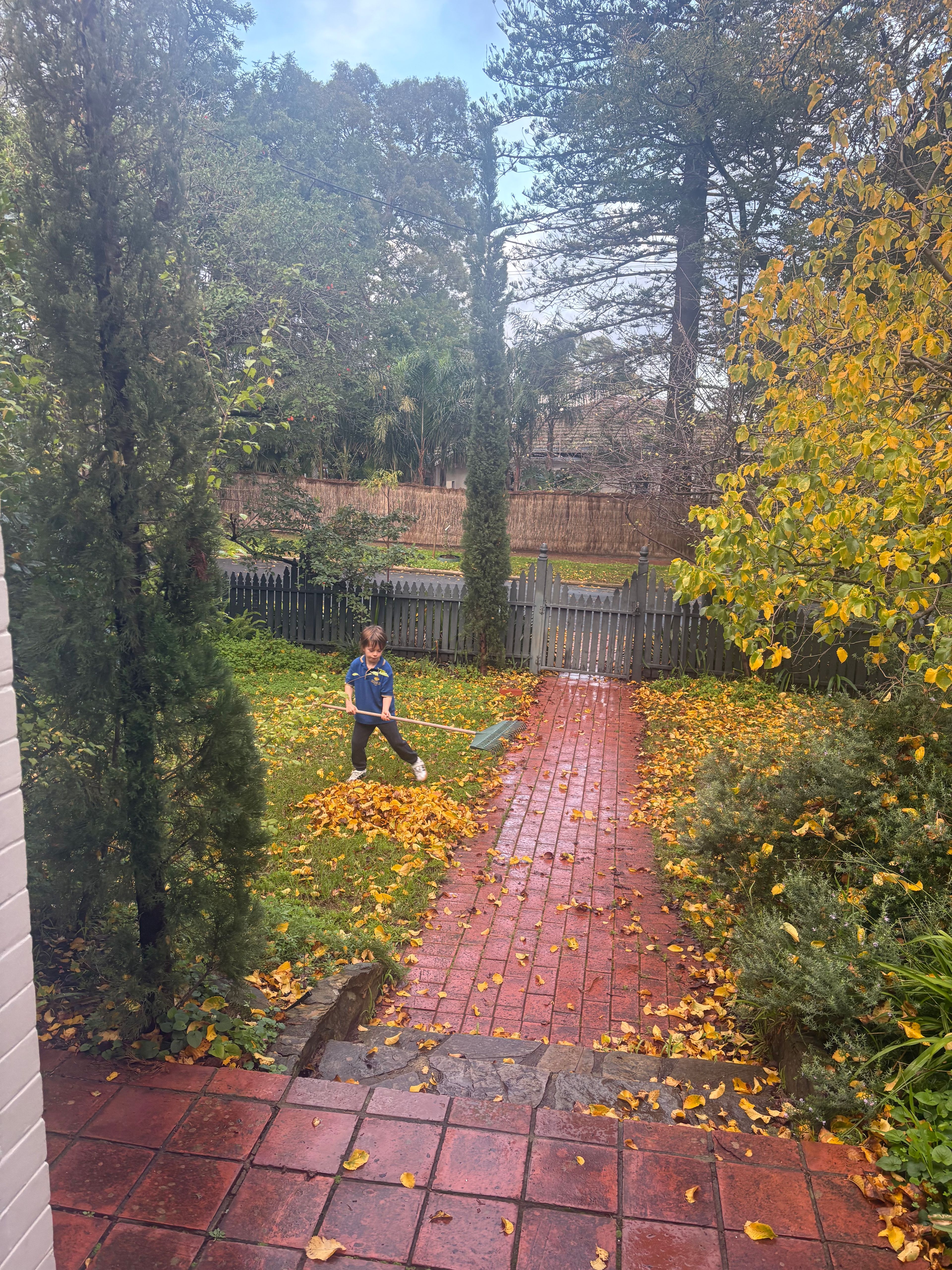 image-17