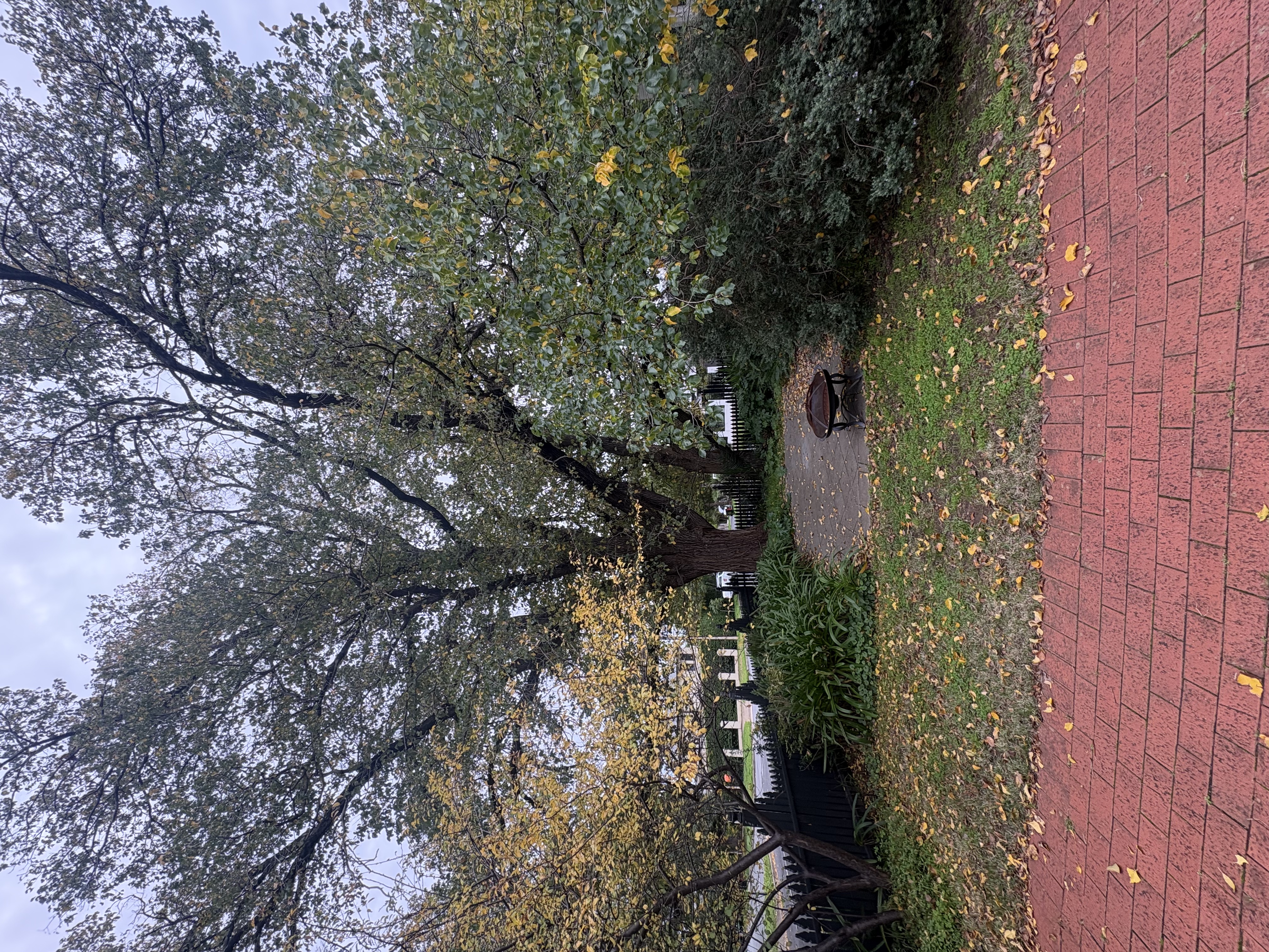 image-15