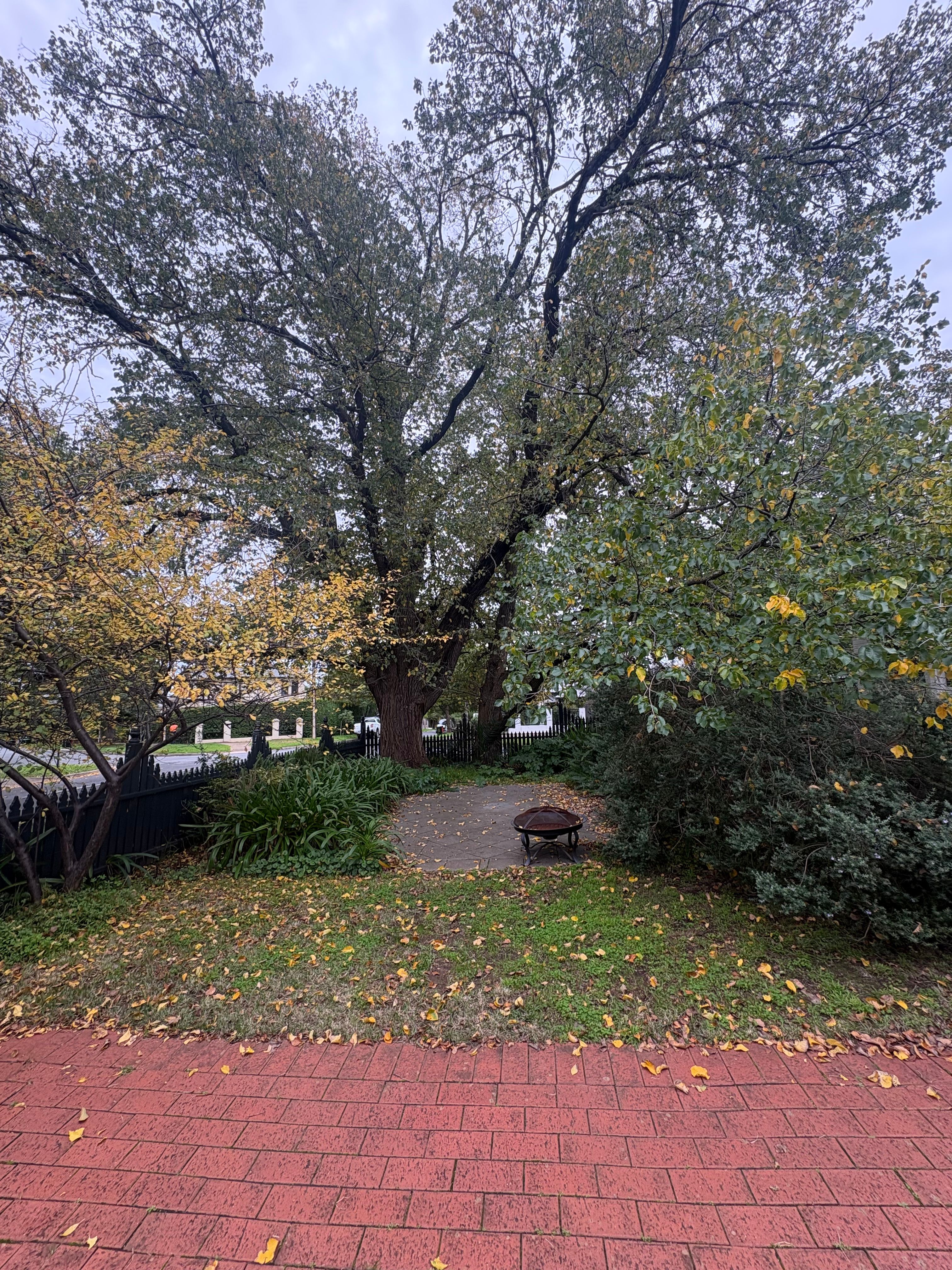 image-15