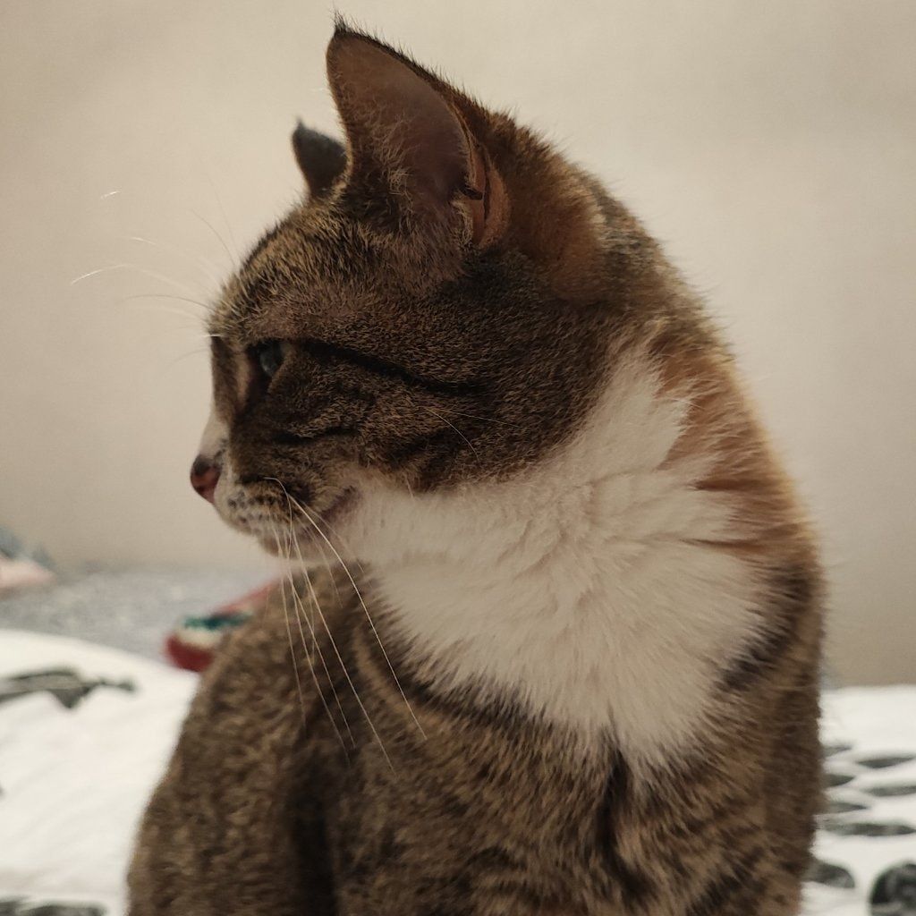 Freya