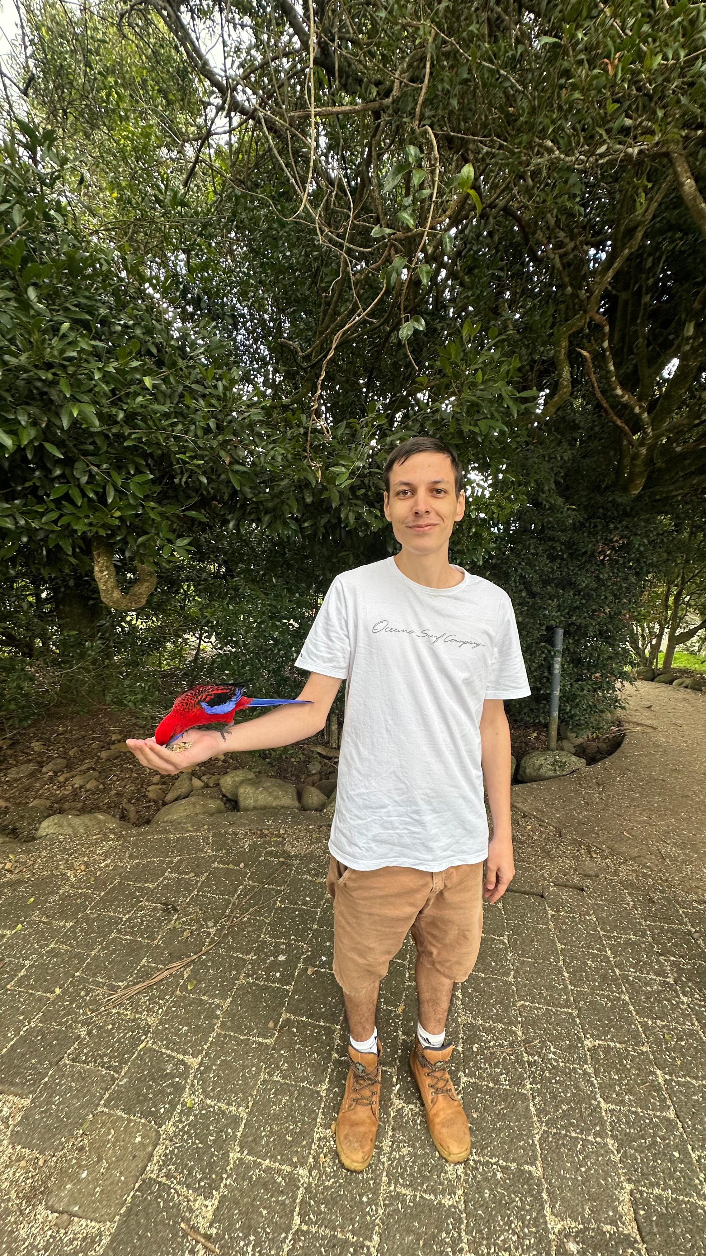 image-6