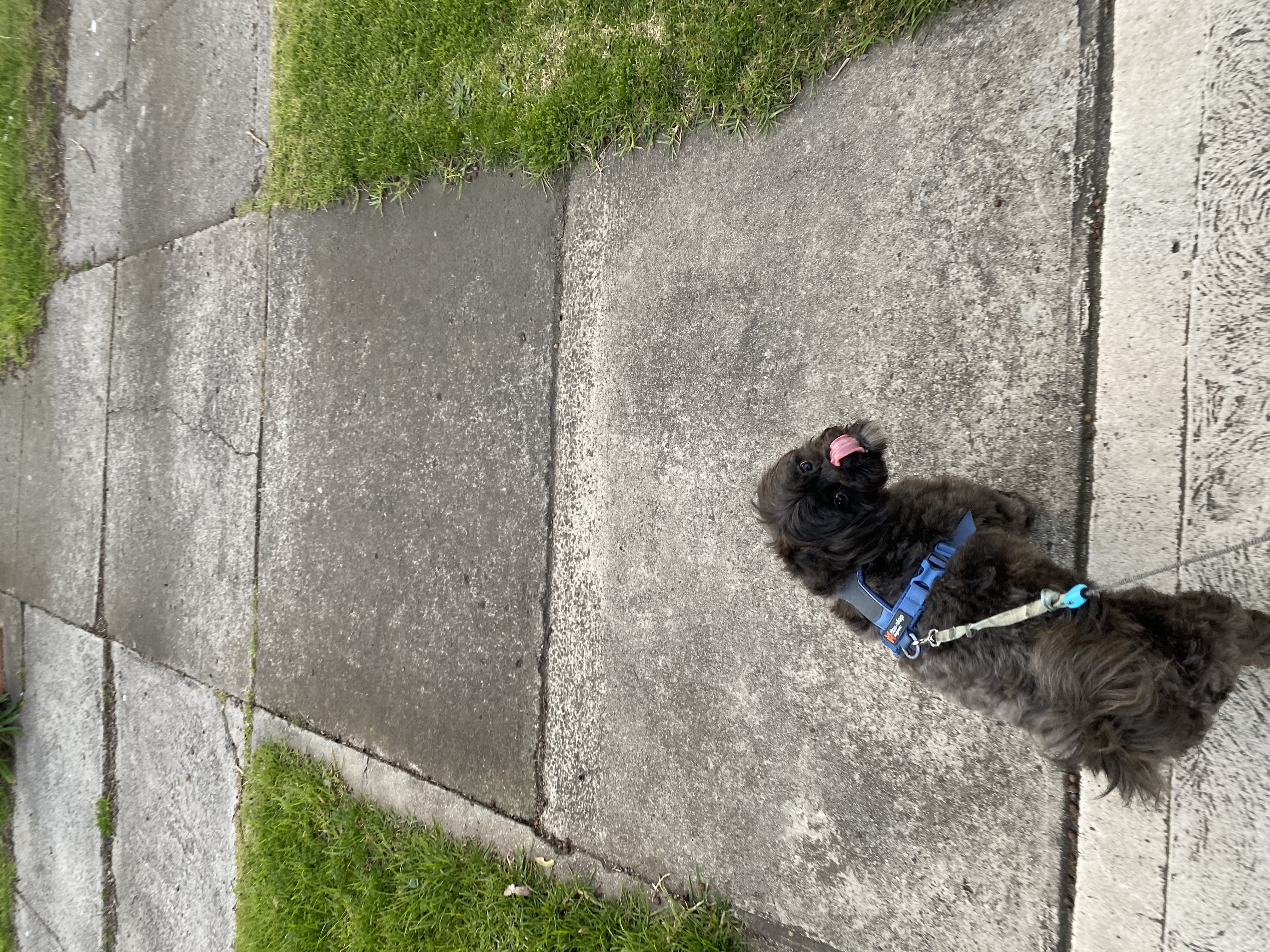 image-7