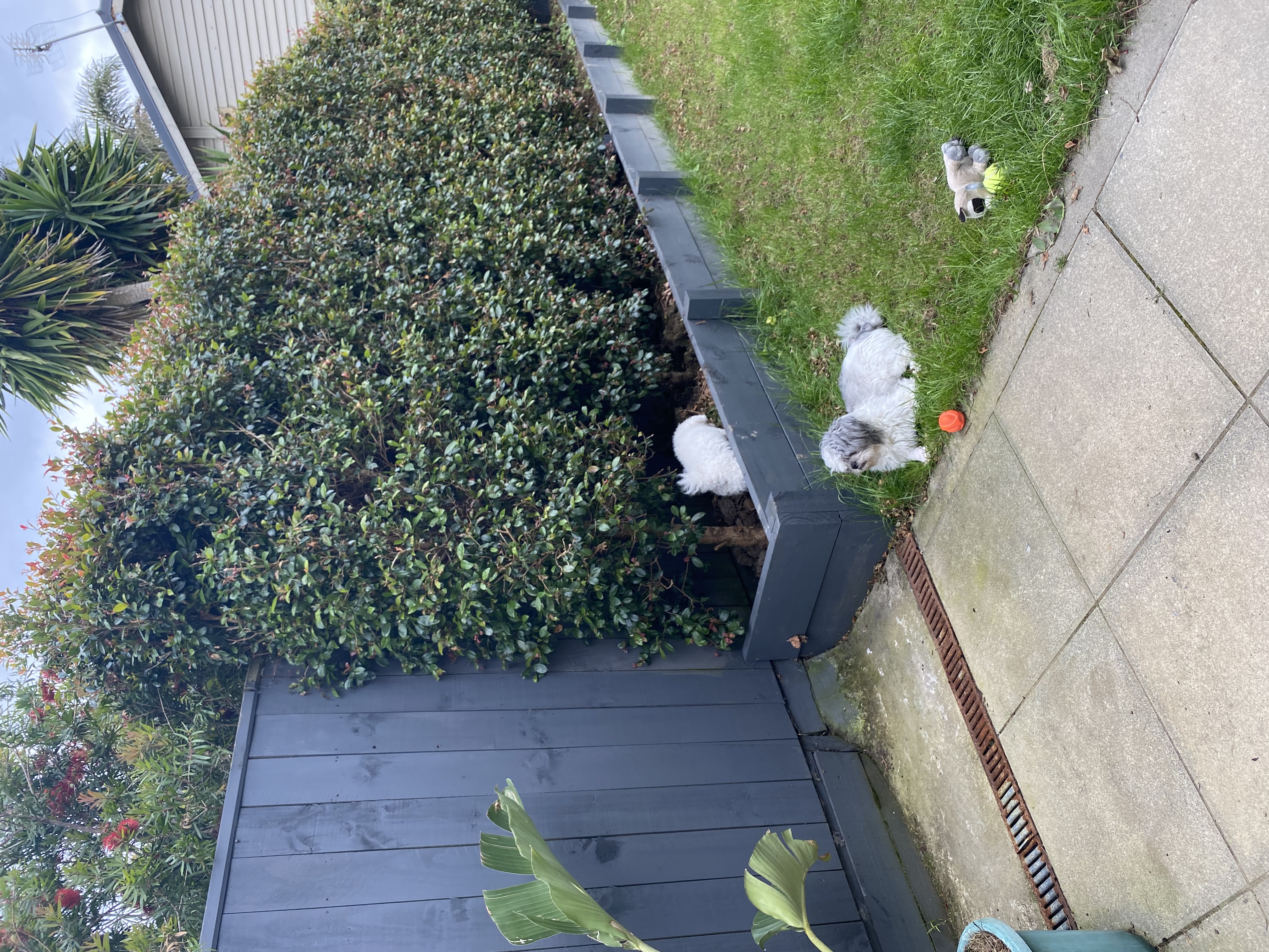 image-28