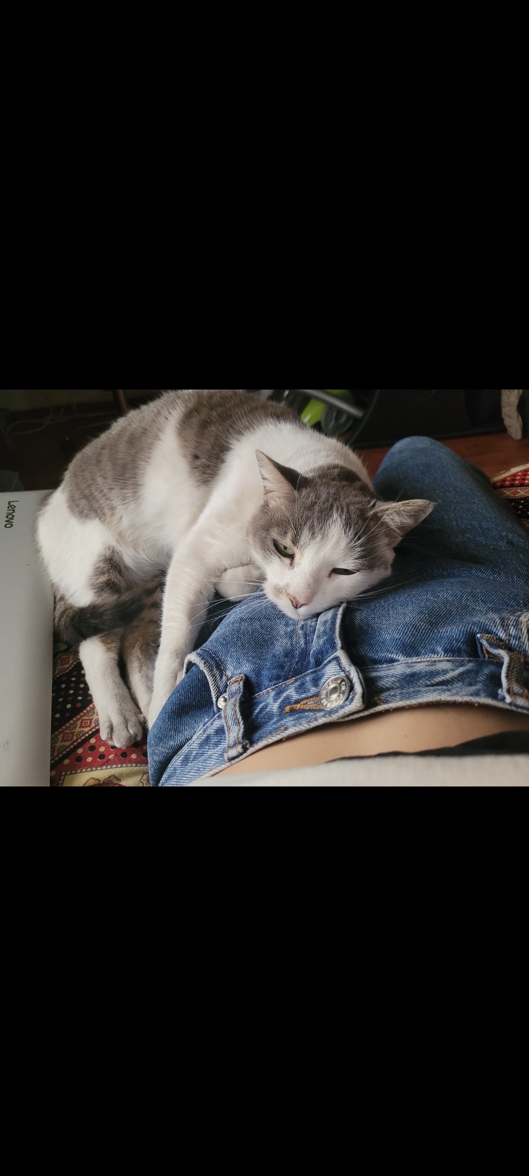 image-5