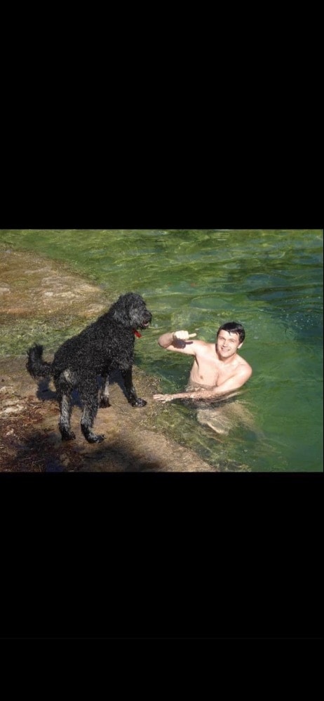 image-5