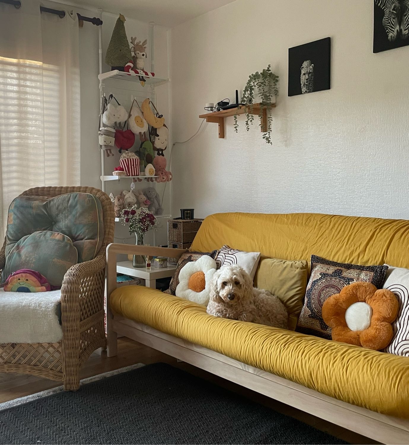image-3