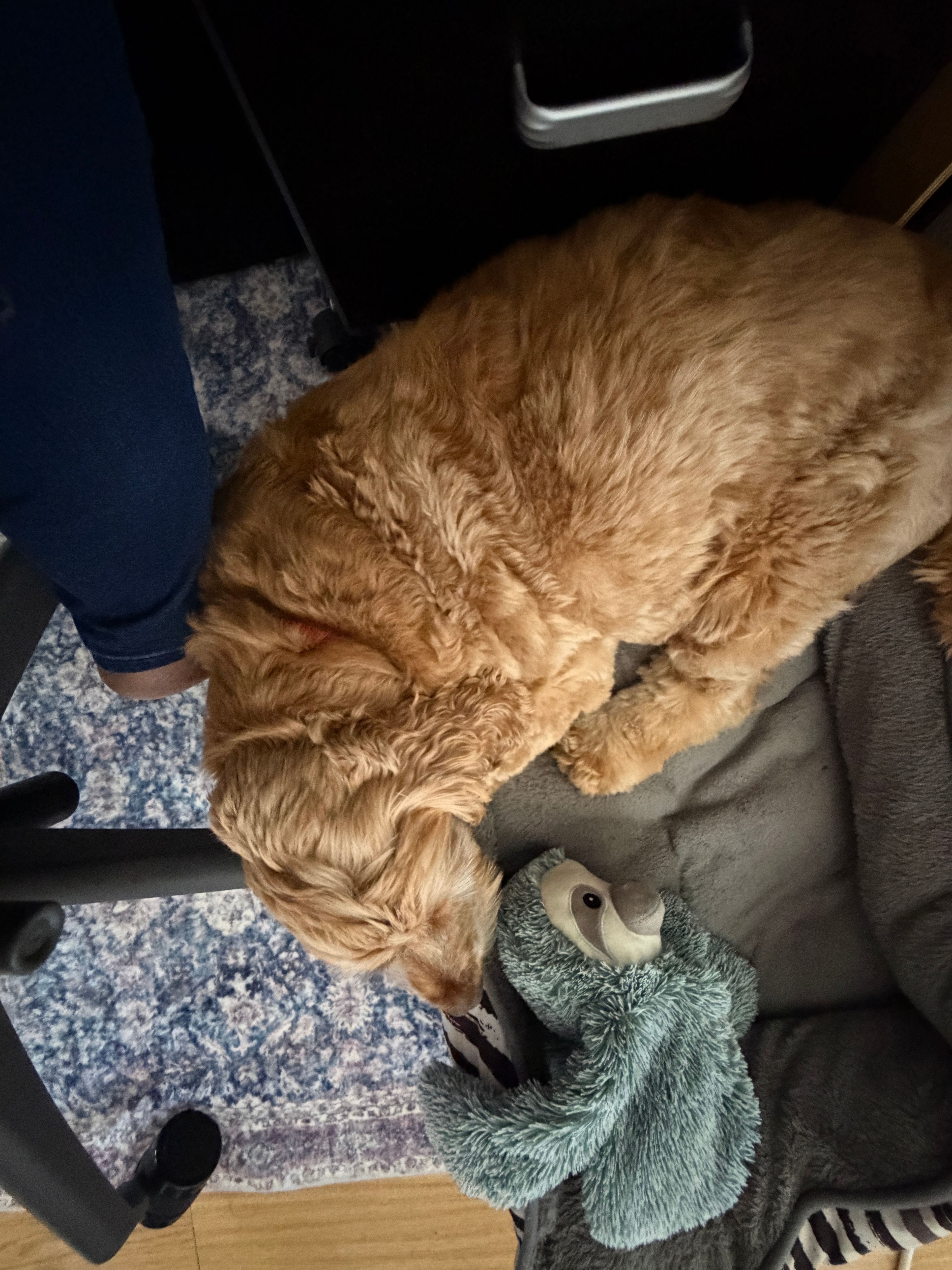 image-15