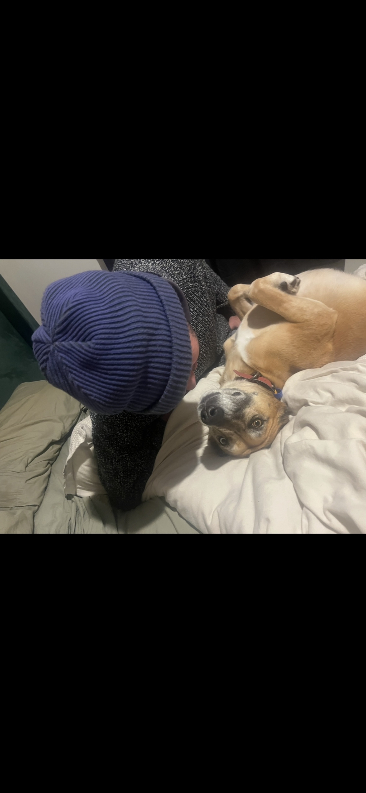 image-4