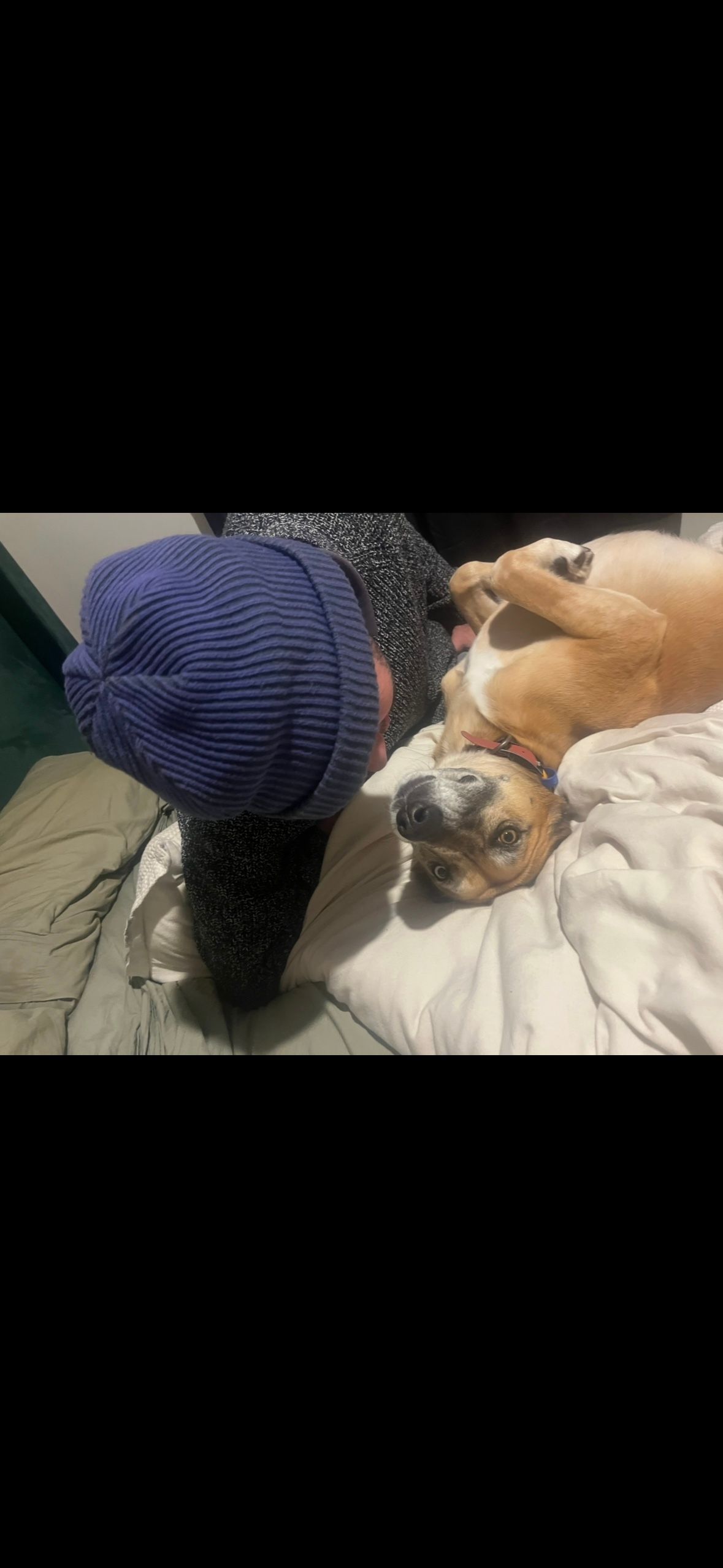 image-4