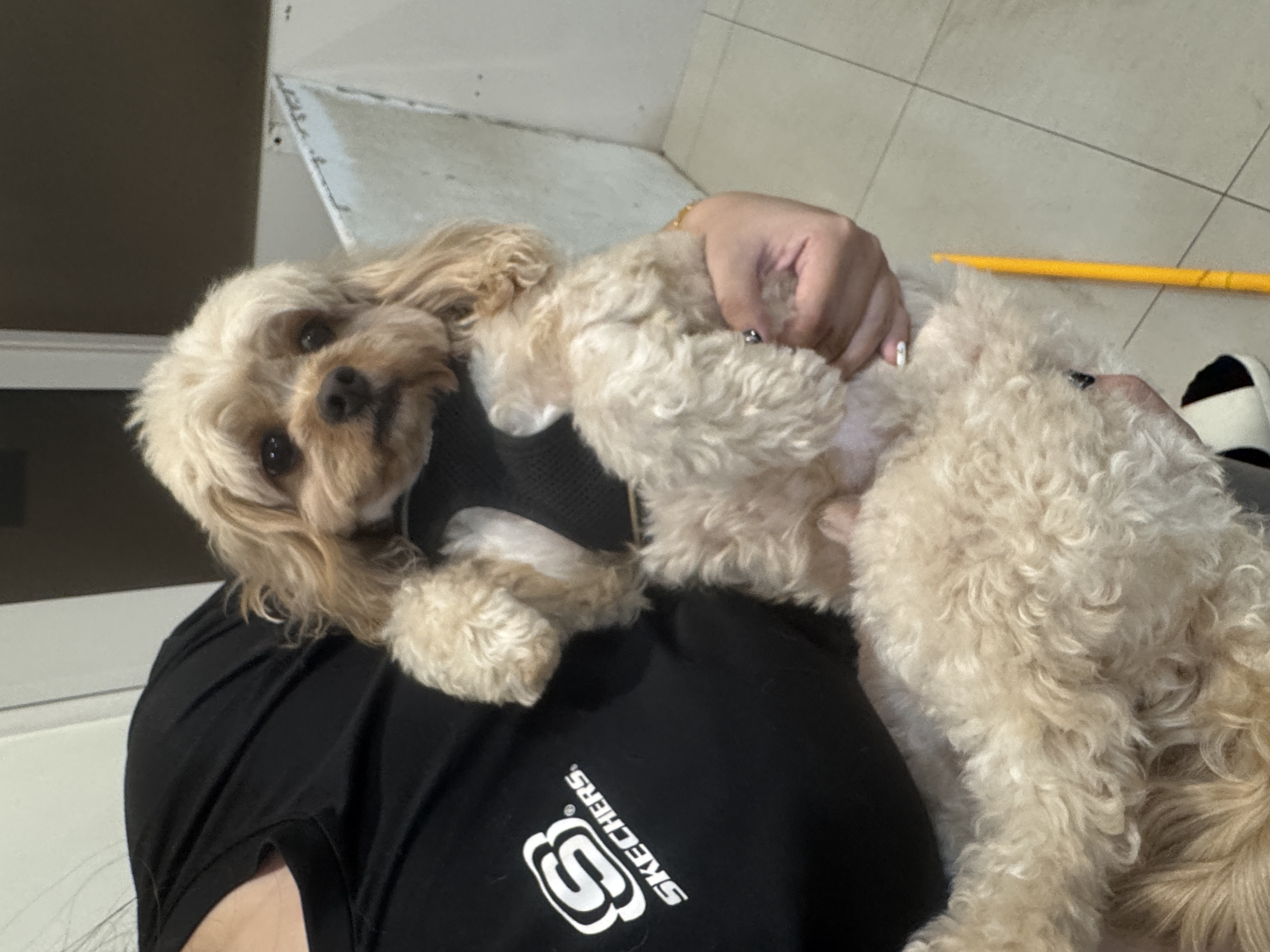 image-7