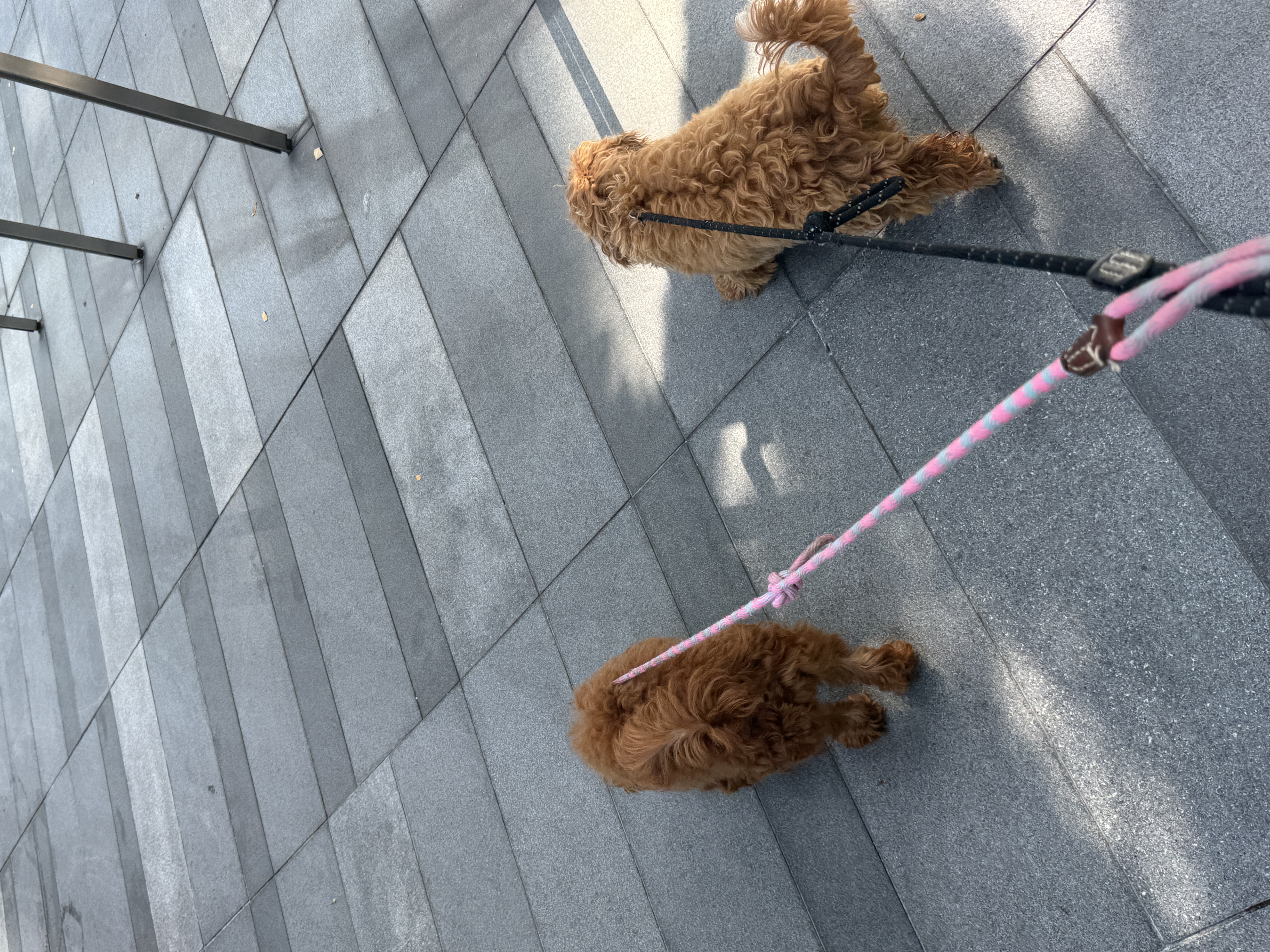 image-18