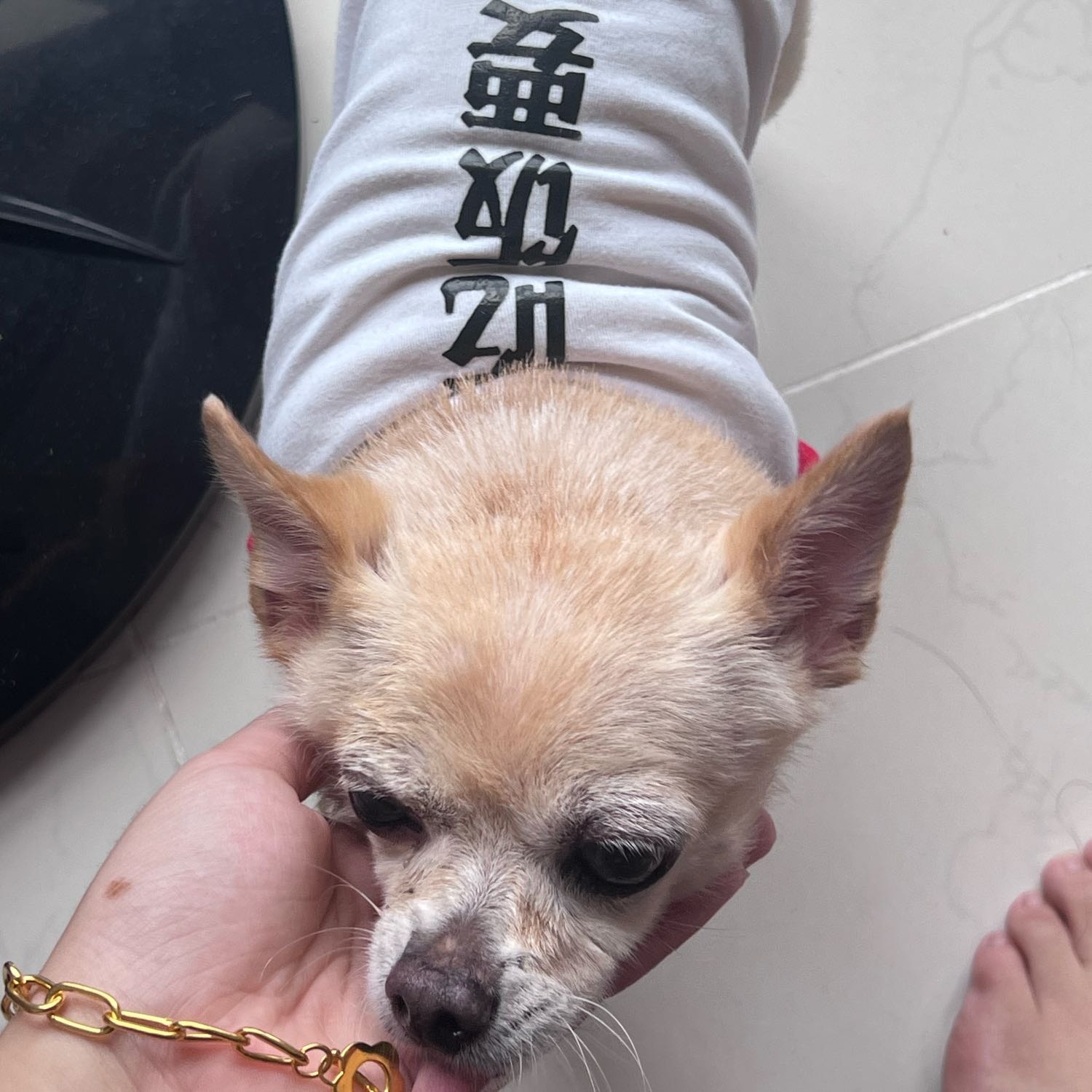 Yuki 🤍