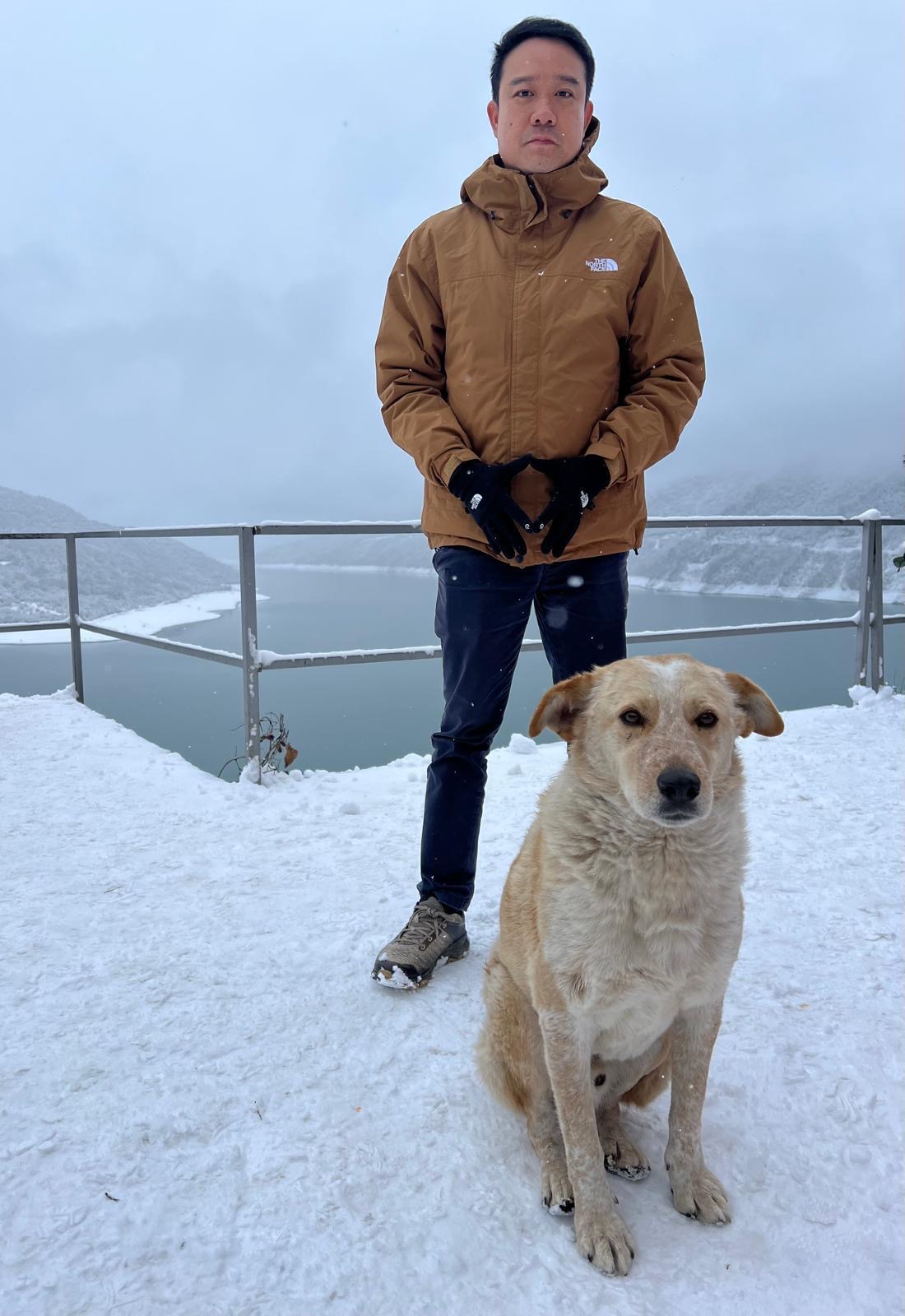 image-7