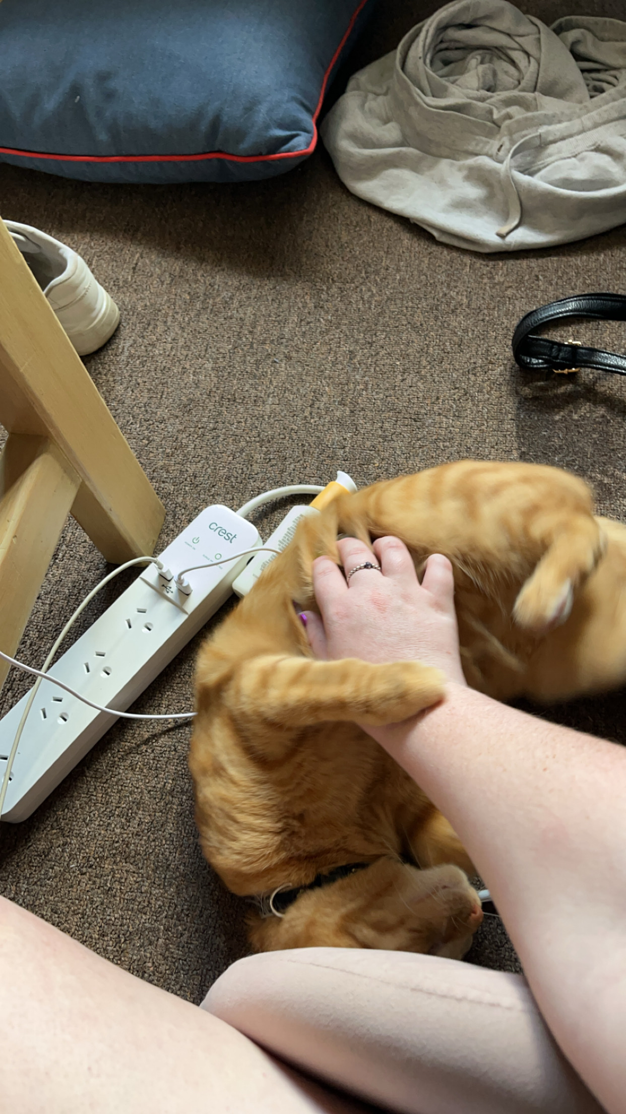 image-7